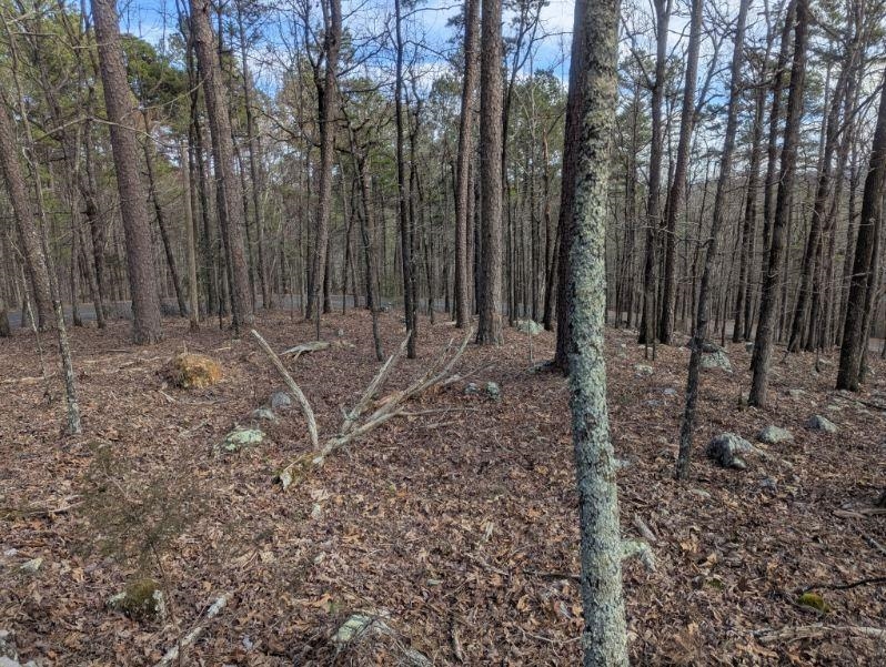 48  Lago Dr  Hot Springs Village, AR