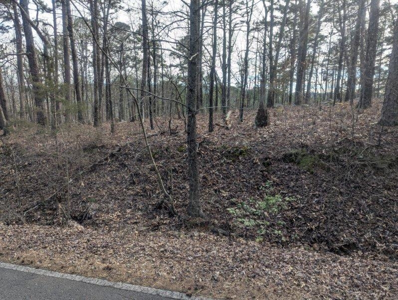 48  Lago Dr  Hot Springs Village, AR
