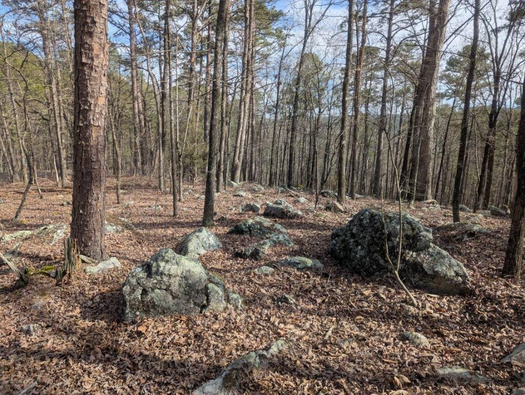 48  Lago Dr  Hot Springs Village, AR