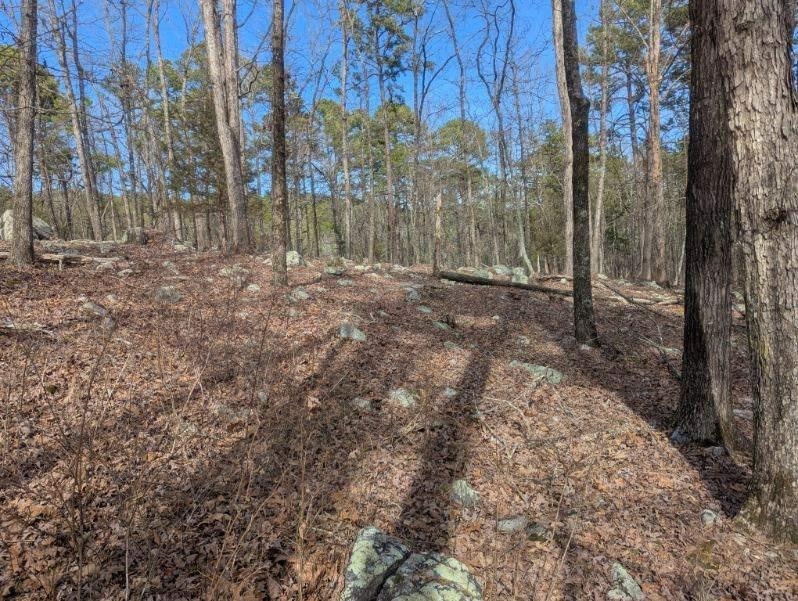 48  Lago Dr  Hot Springs Village, AR