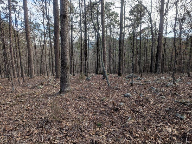 48  Lago Dr  Hot Springs Village, AR
