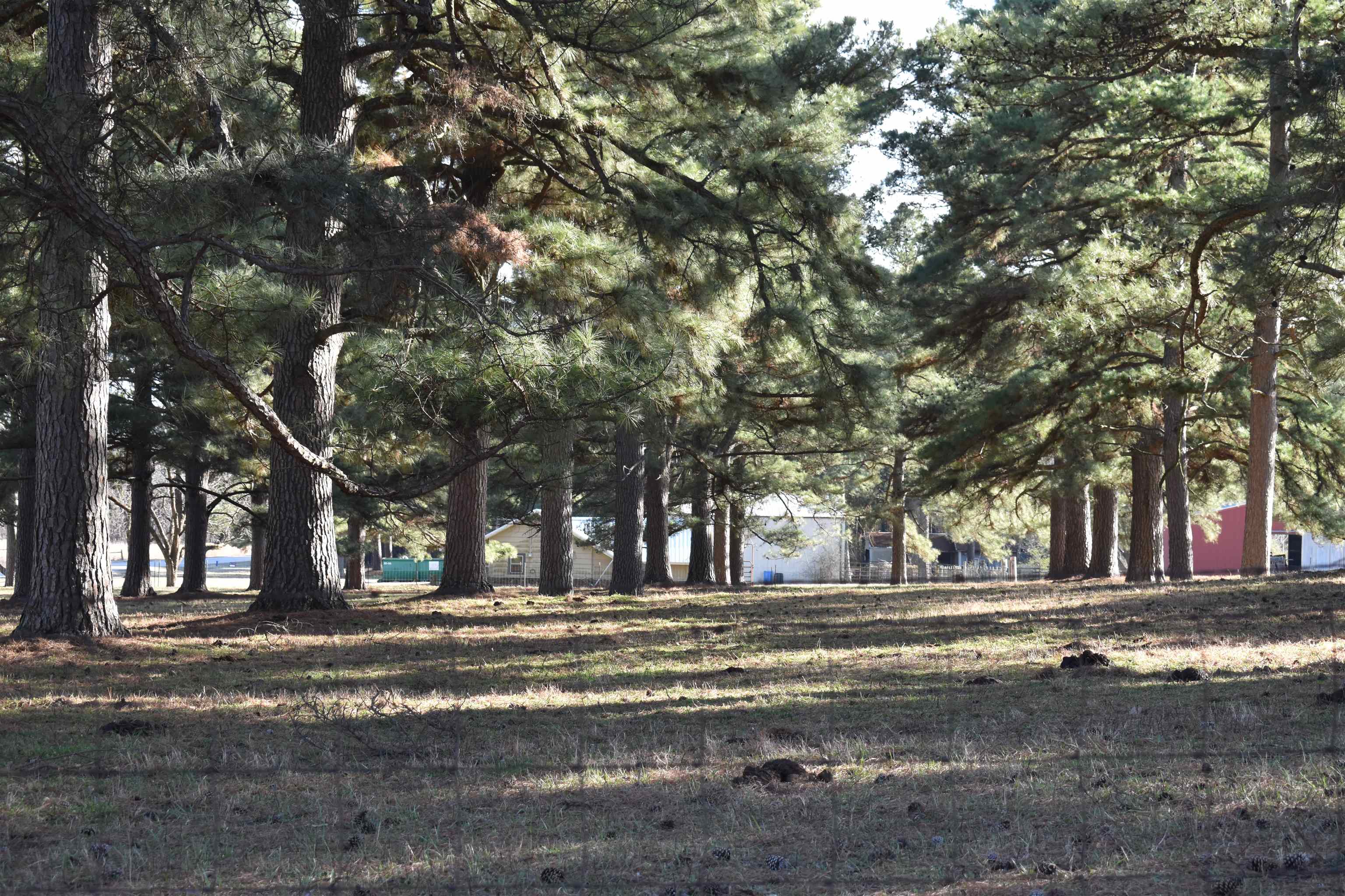 727 CR 311 Jonesboro, AR 72401