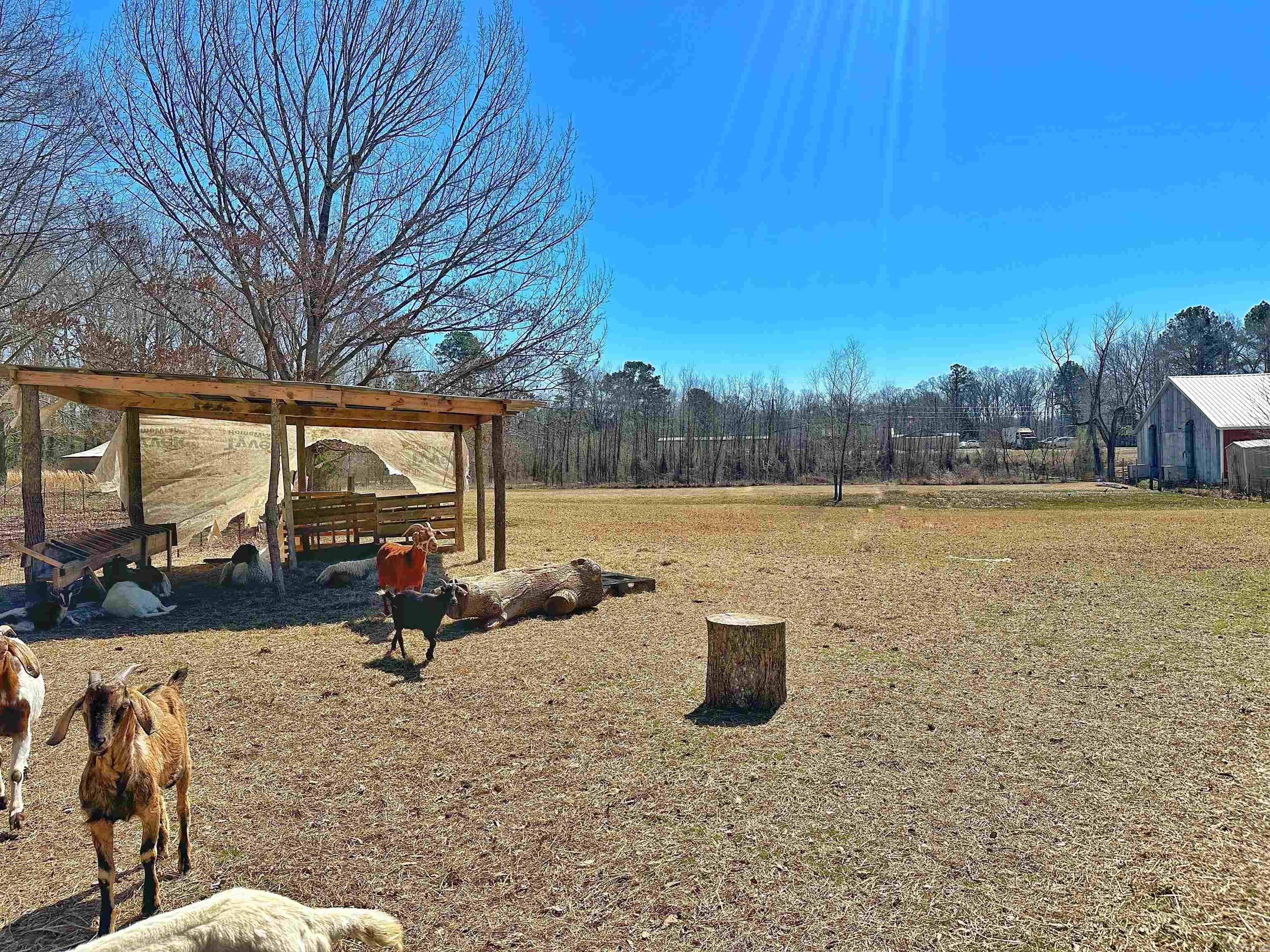192  Highway 46  Sheridan, AR