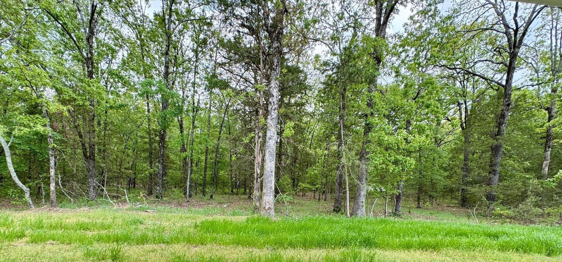 1275  Acuff  Conway, AR