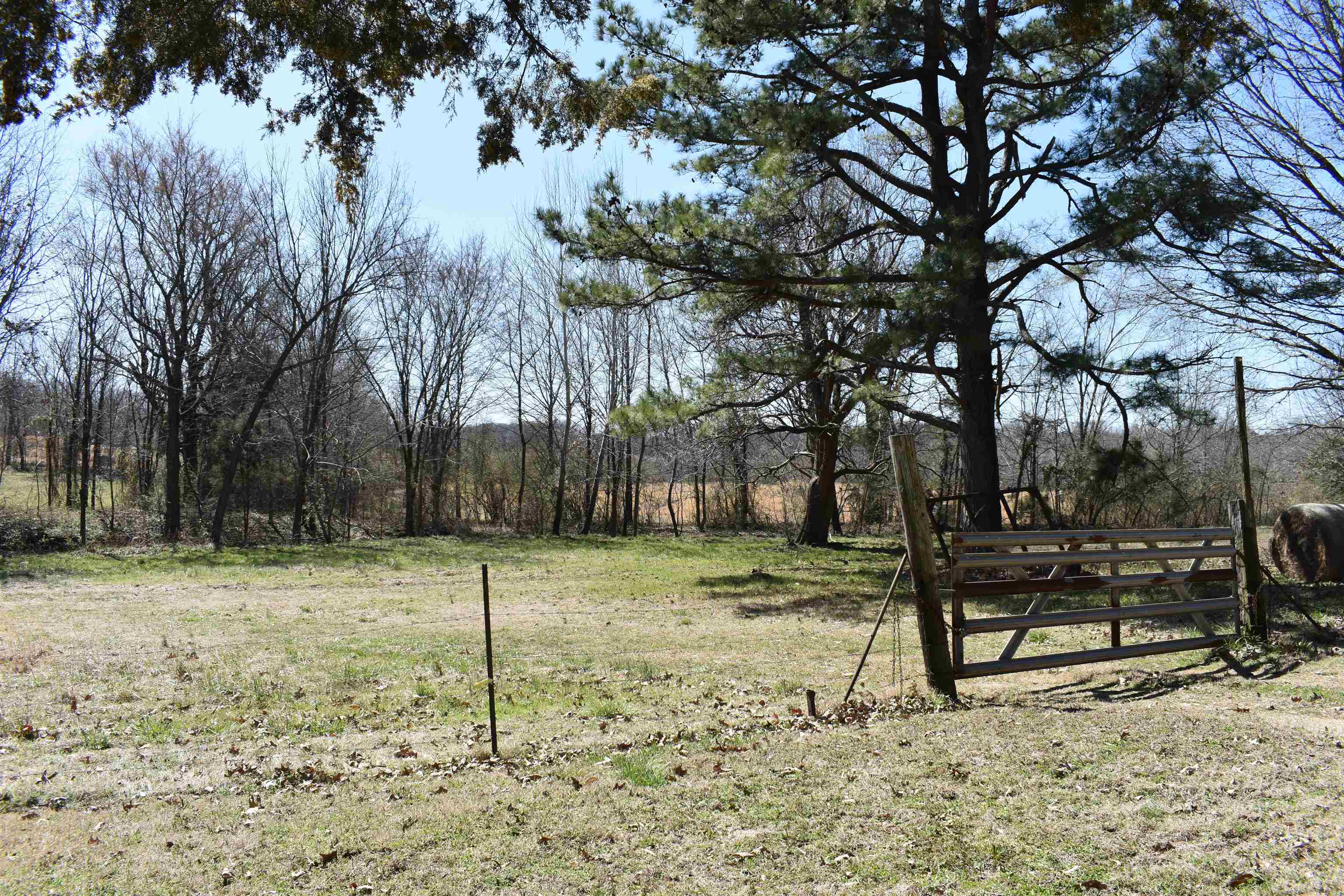 3207  Casey Springs  Jonesboro, AR