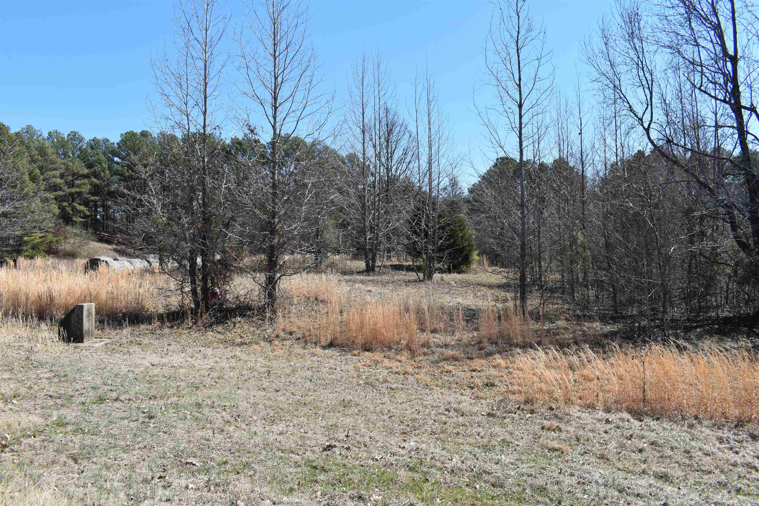 3207  Casey Springs  Jonesboro, AR