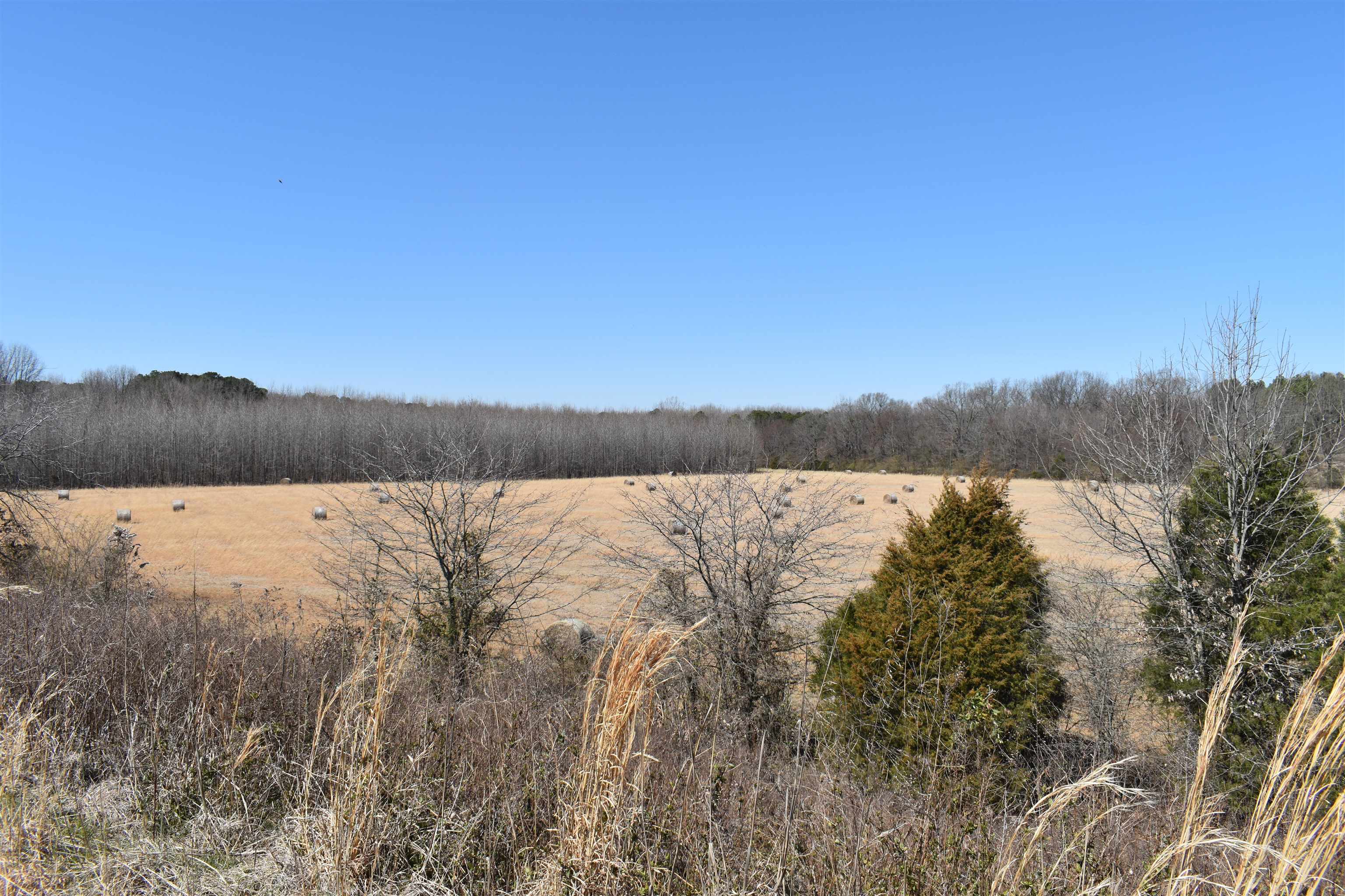 3207  Casey Springs  Jonesboro, AR