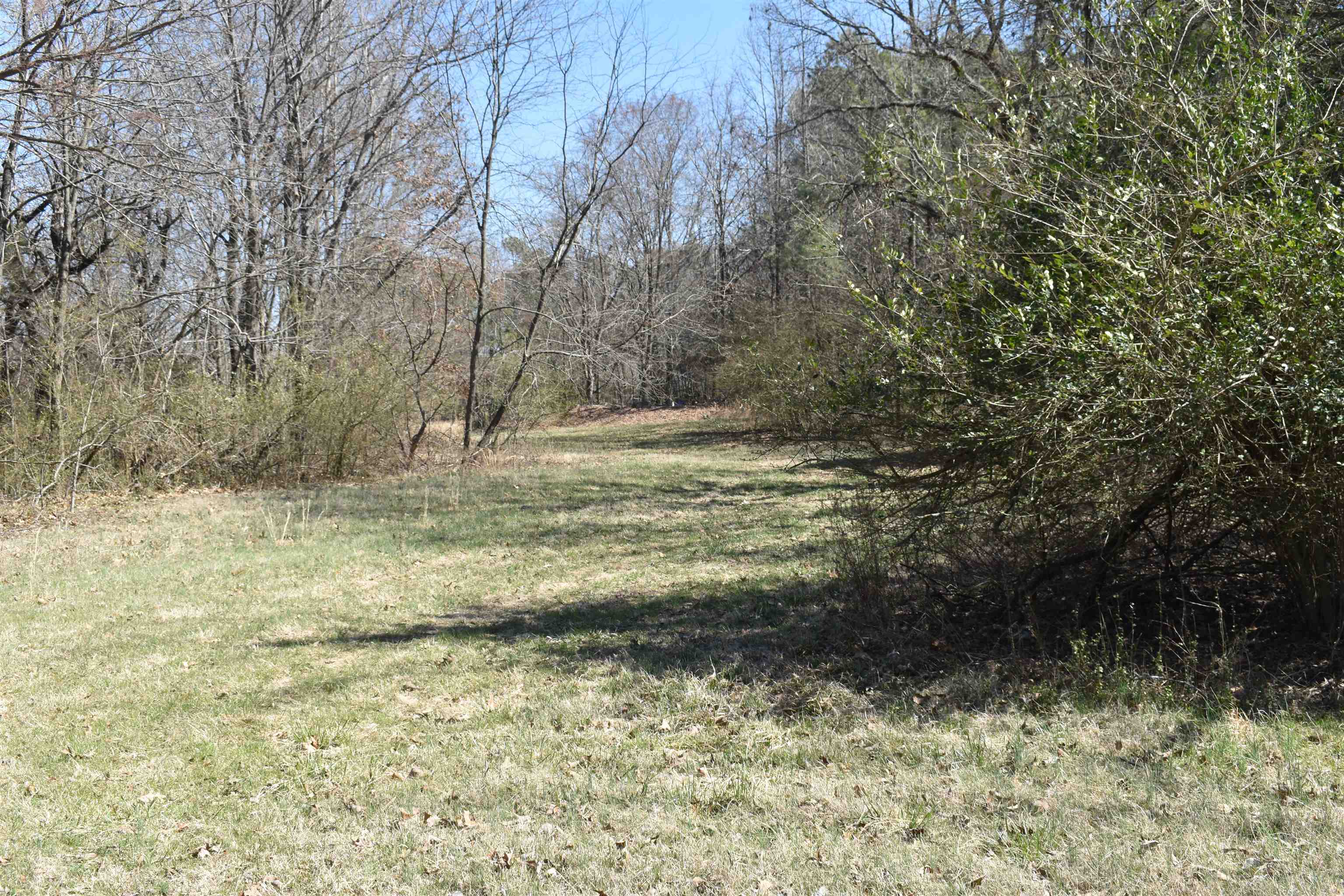 3207  Casey Springs  Jonesboro, AR