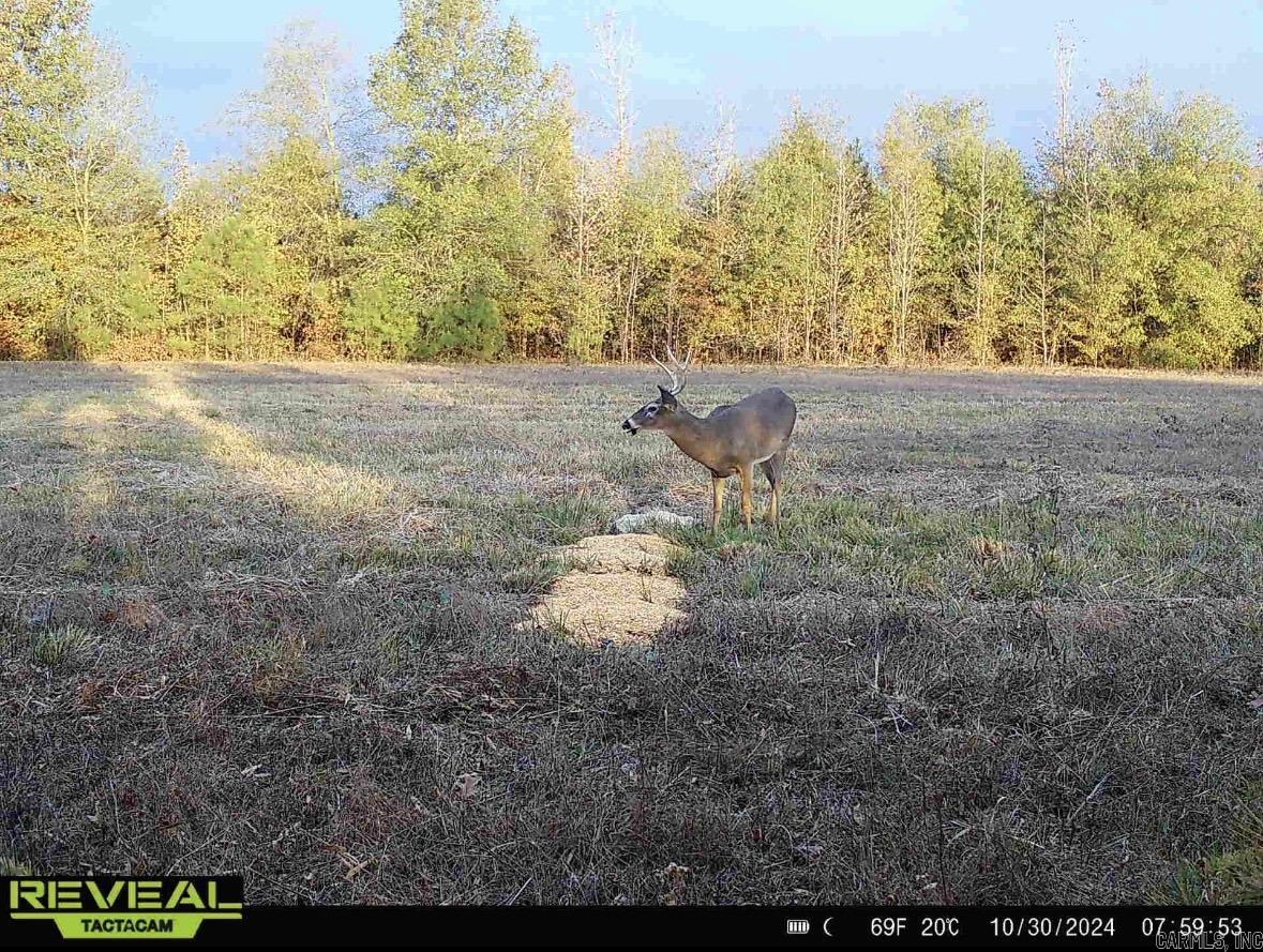 000  Hwy. 13  McRae, AR