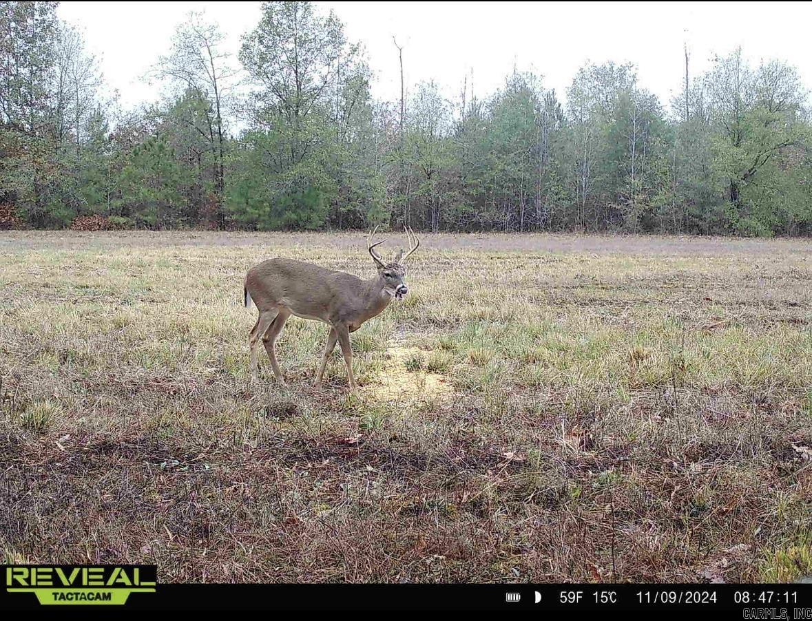 000  Hwy. 13  McRae, AR