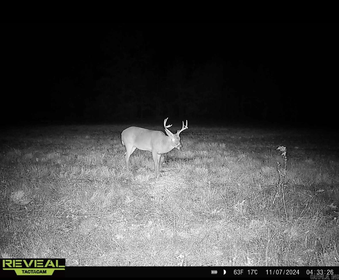 000  Hwy. 13  McRae, AR