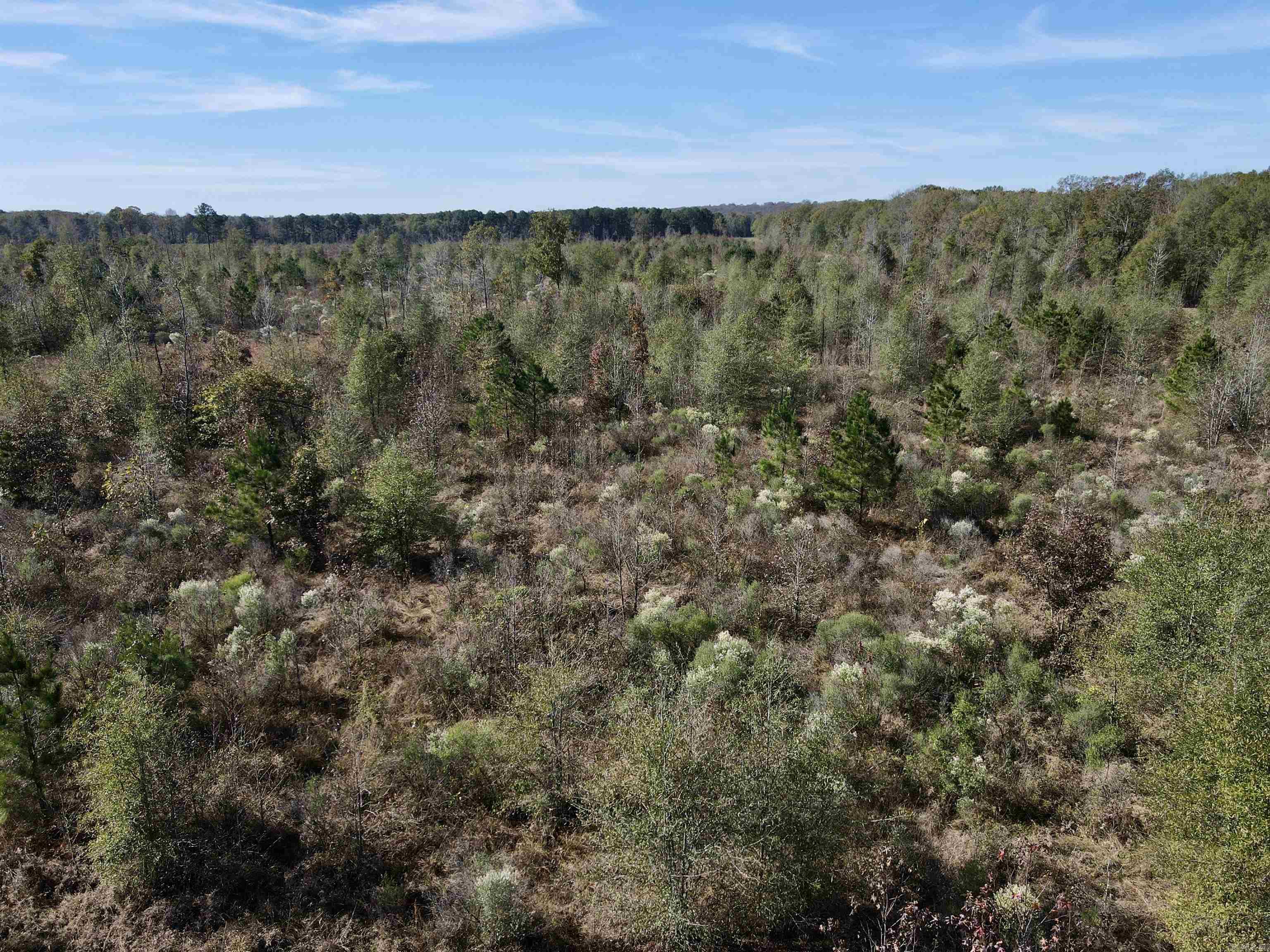 000  Hwy. 13  McRae, AR