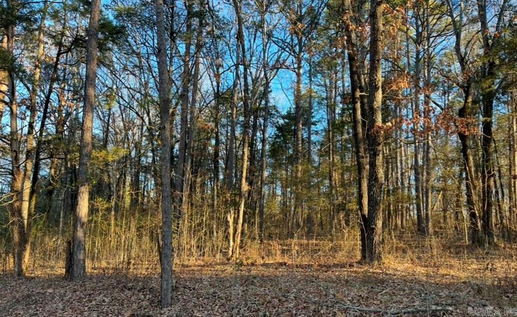 Lot 9 &10  Kip Lane  Clinton, AR