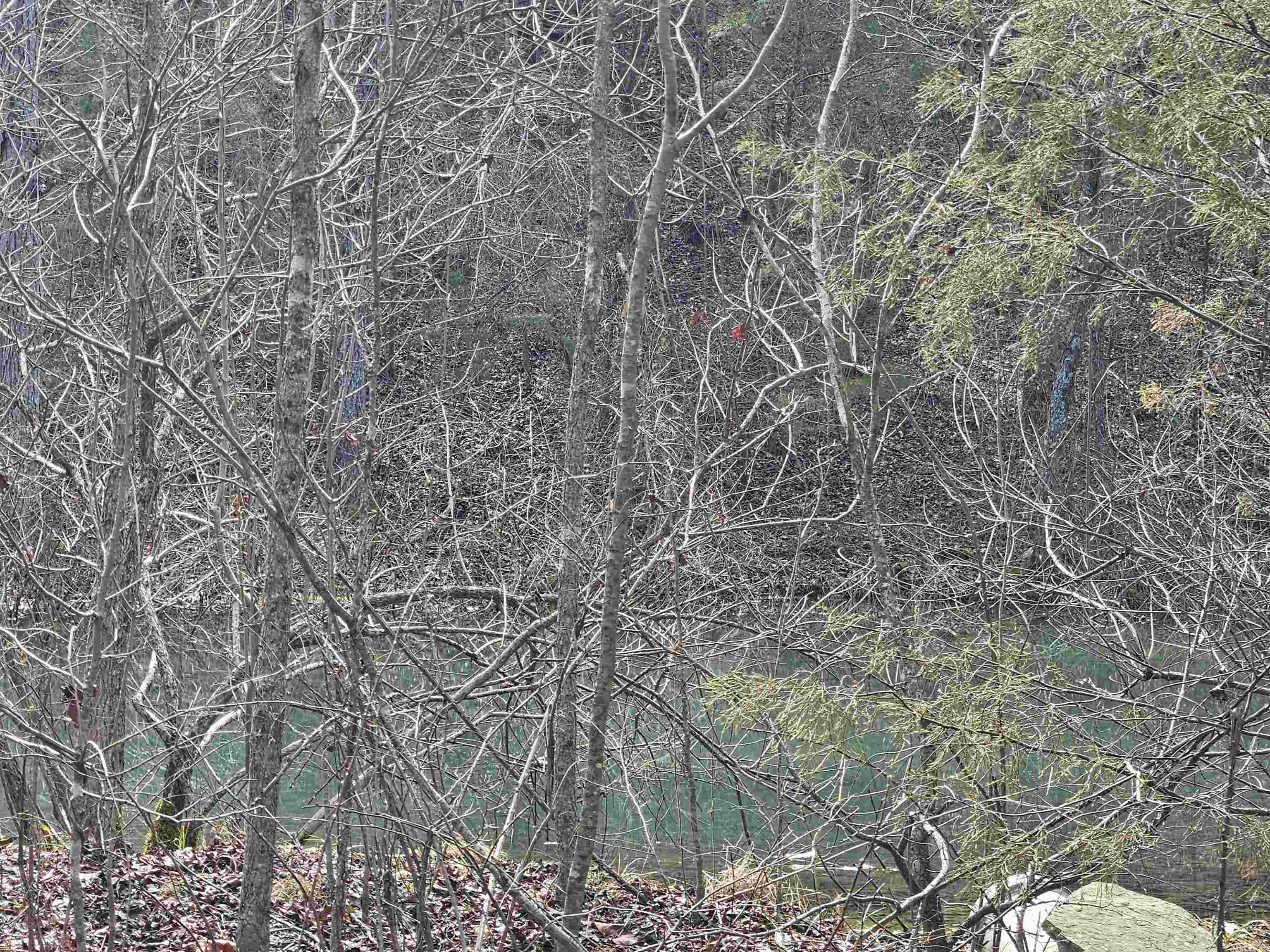 1521 Old 66 Road Leslie, AR 72645