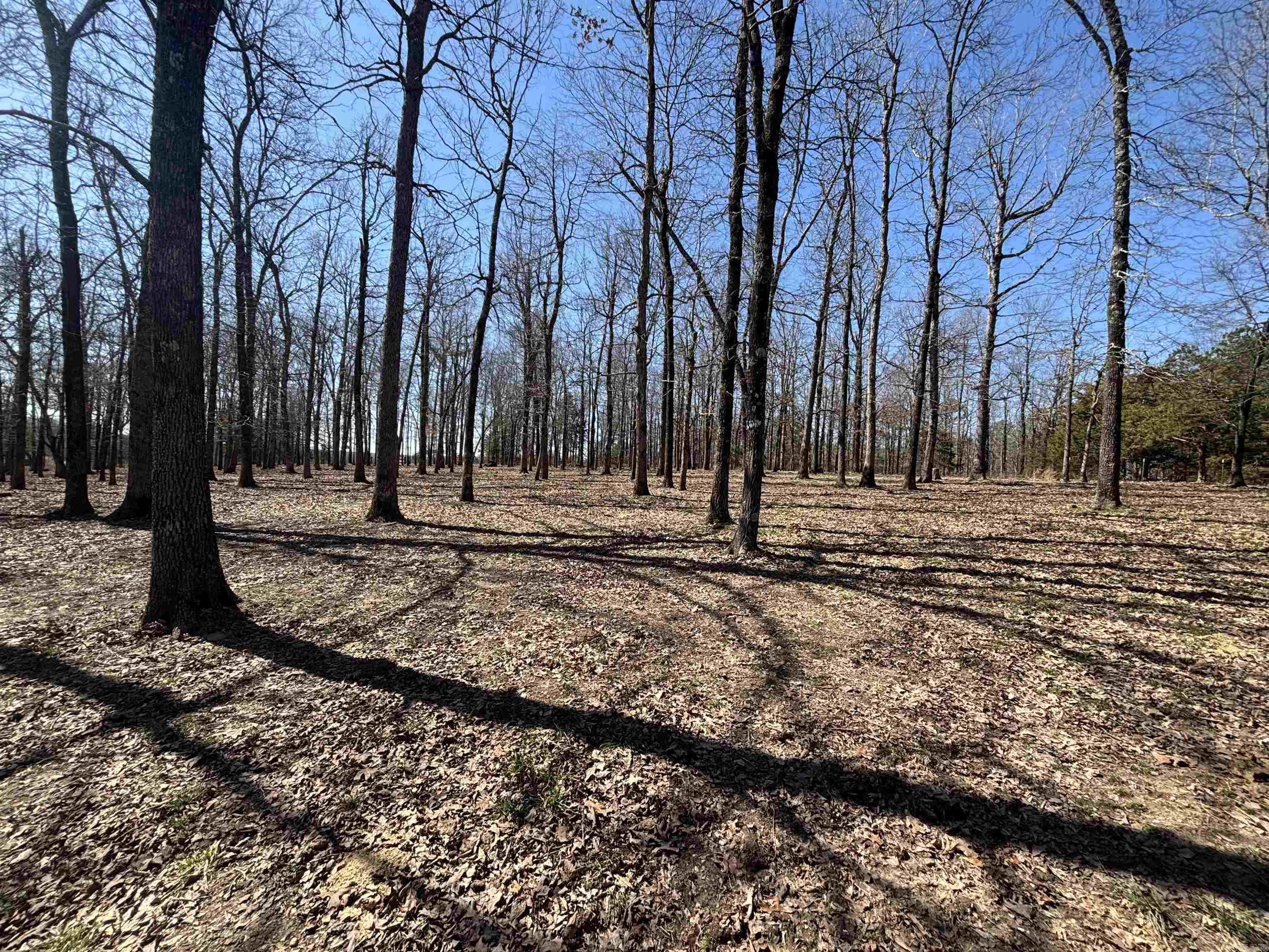 451  Red River  Fox, AR