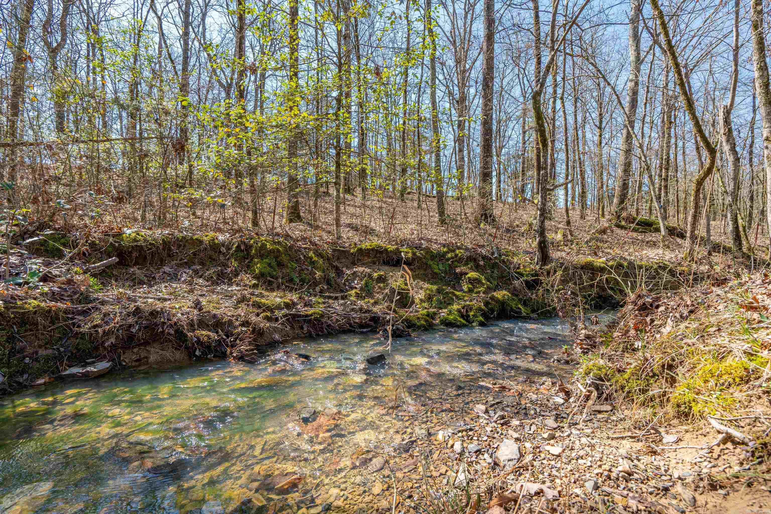 149  Slate Mill Rd  Glenwood, AR