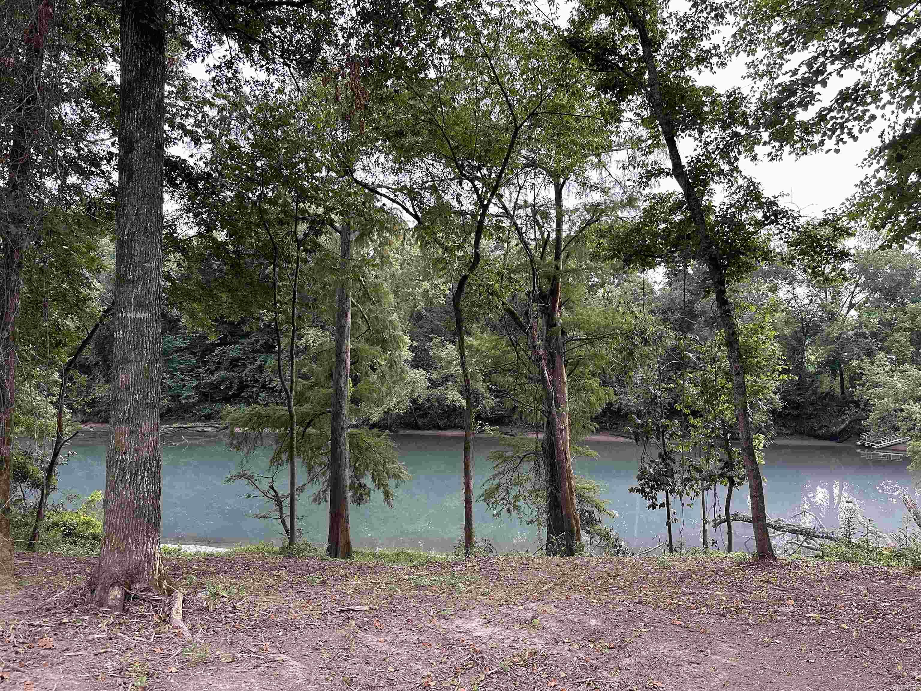 000  Old River Rd.  Pangburn, AR