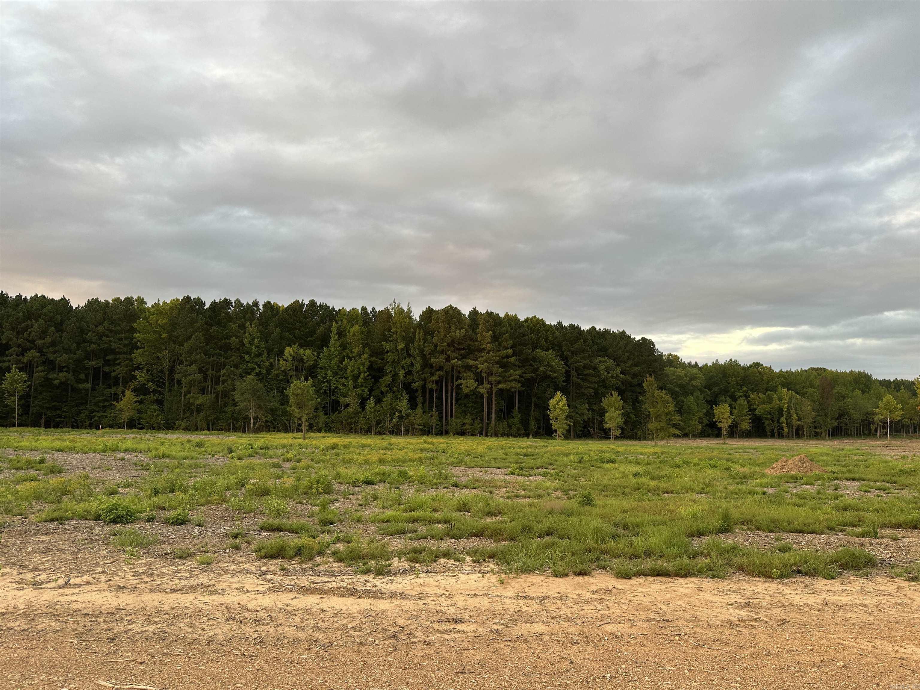 000  Old River Rd.  Pangburn, AR