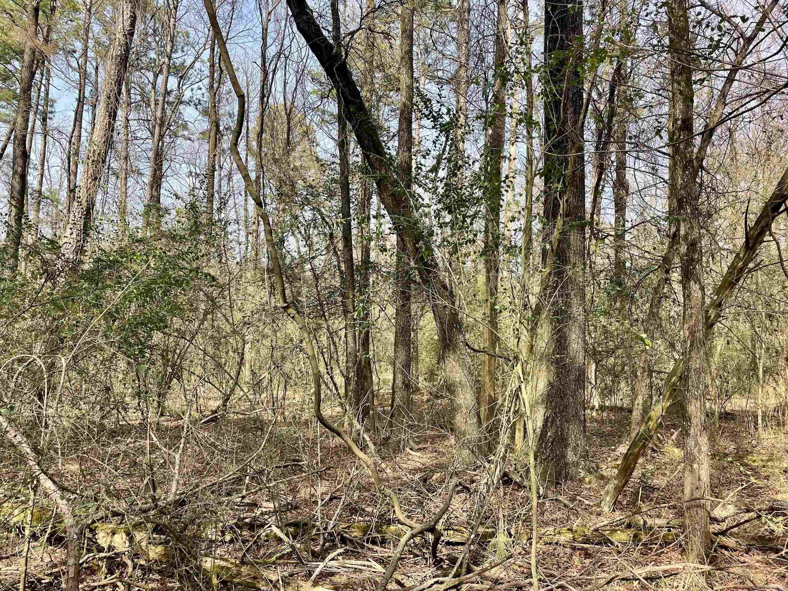 201  Oak Hill  Adona, AR