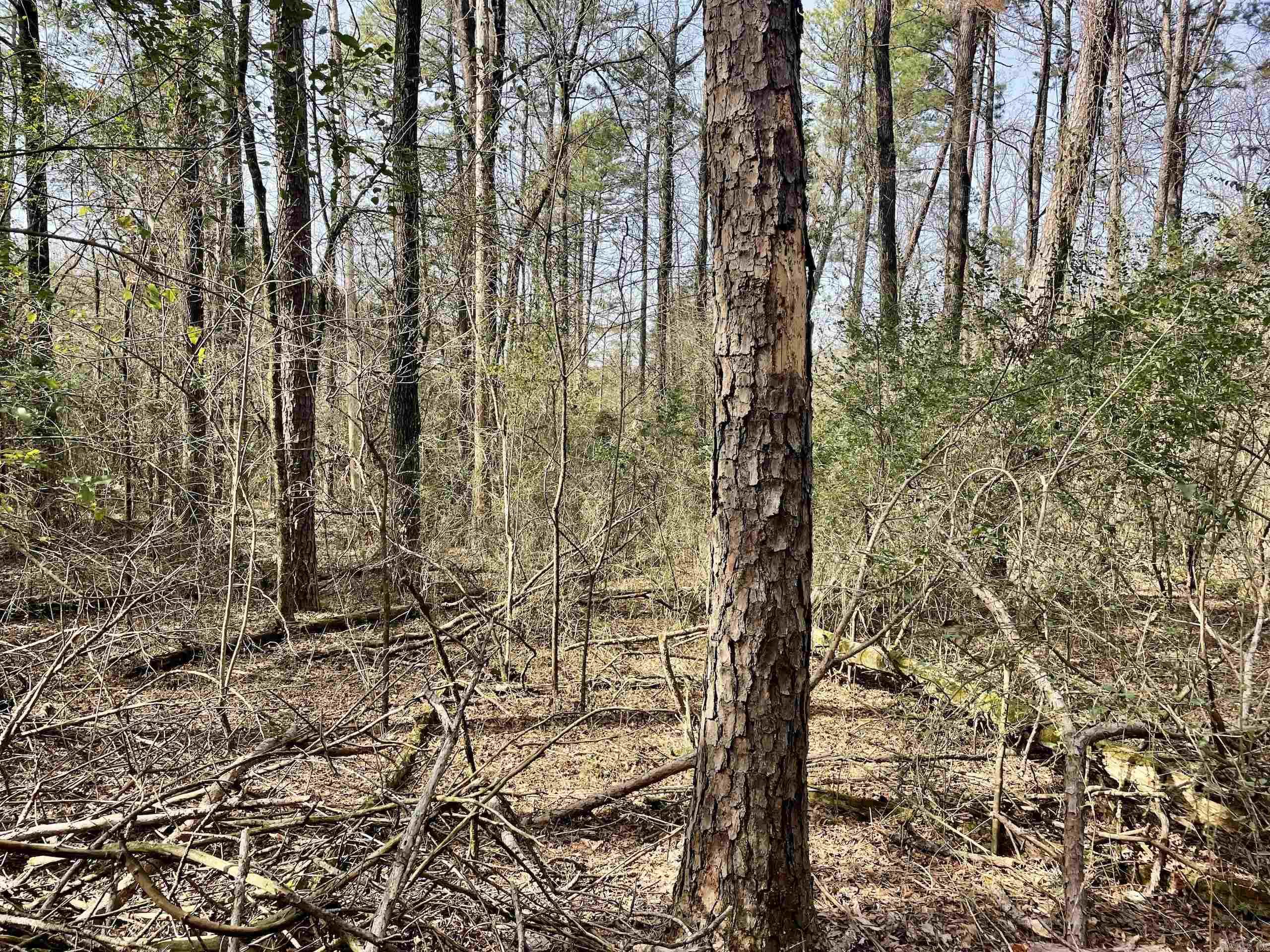 201  Oak Hill  Adona, AR