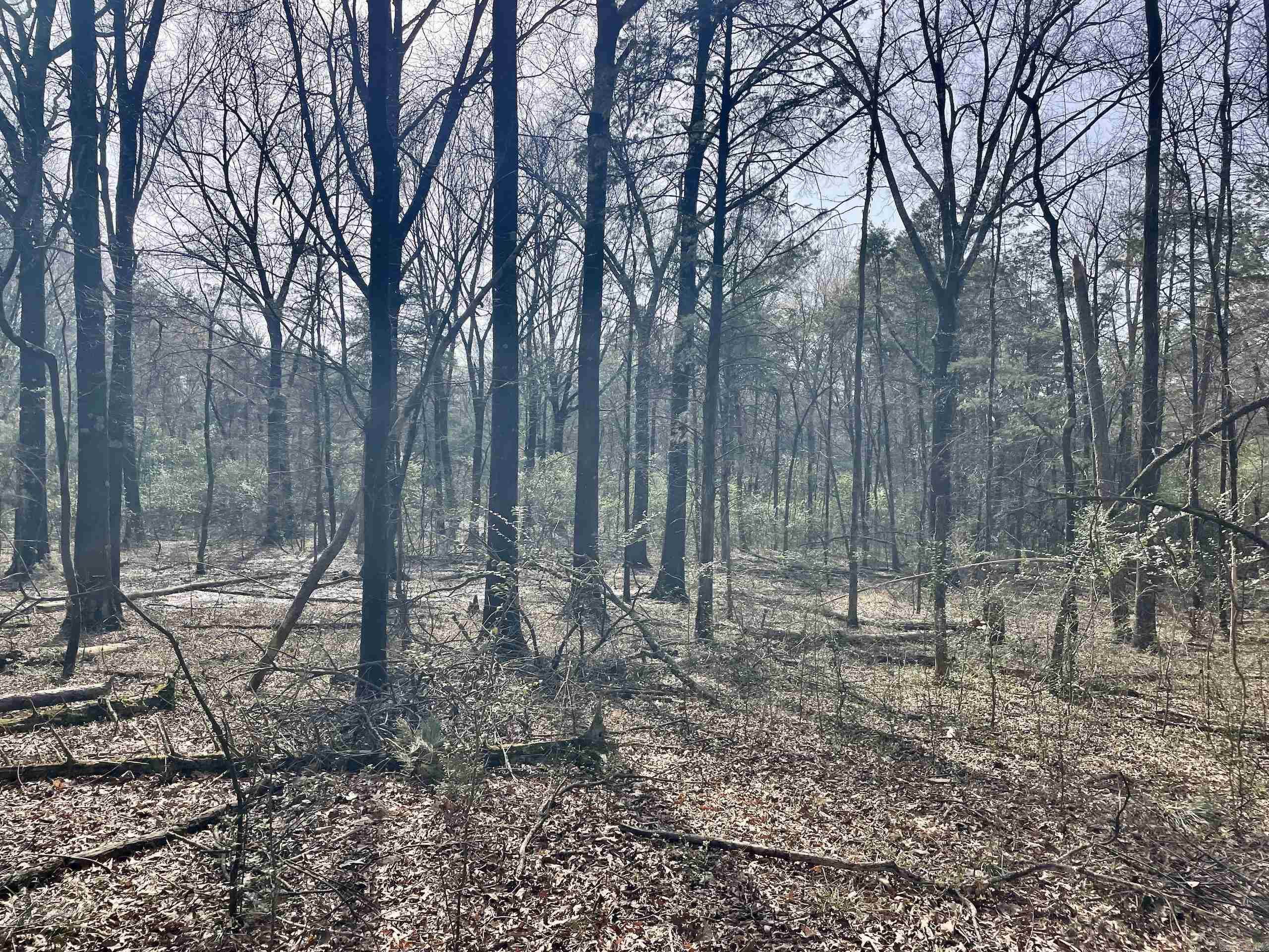 201  Oak Hill  Adona, AR