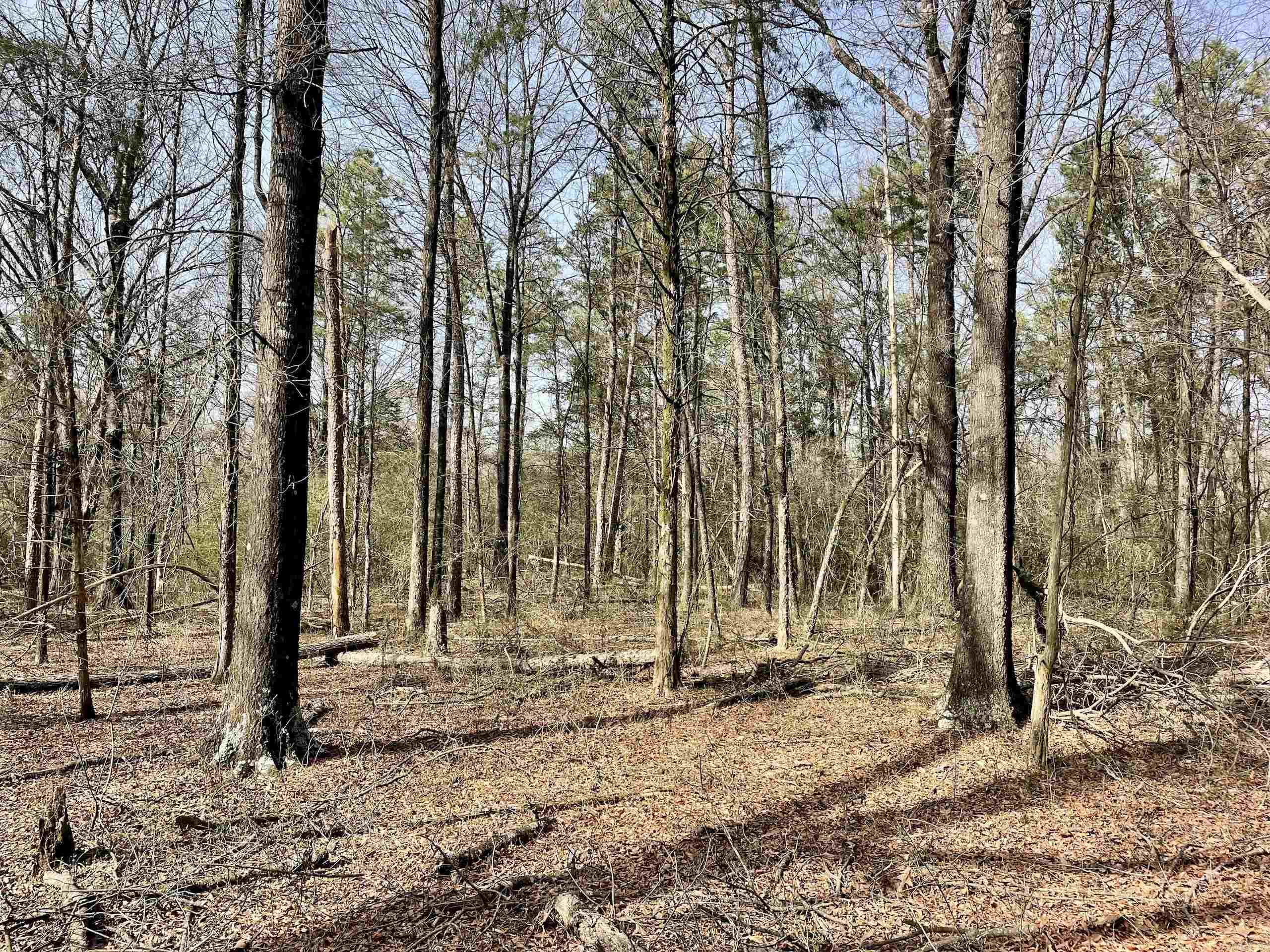 201  Oak Hill  Adona, AR