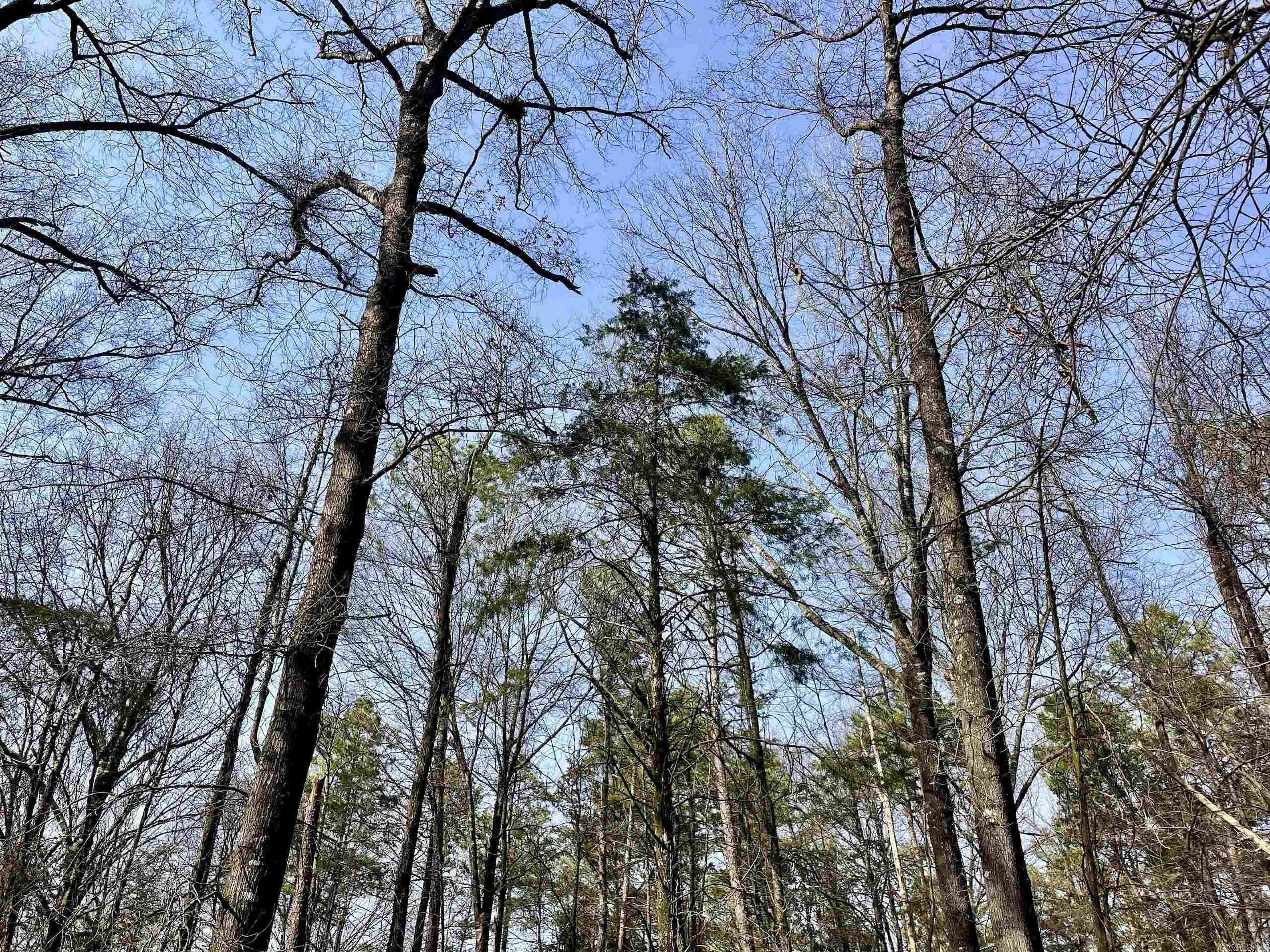 201  Oak Hill  Adona, AR