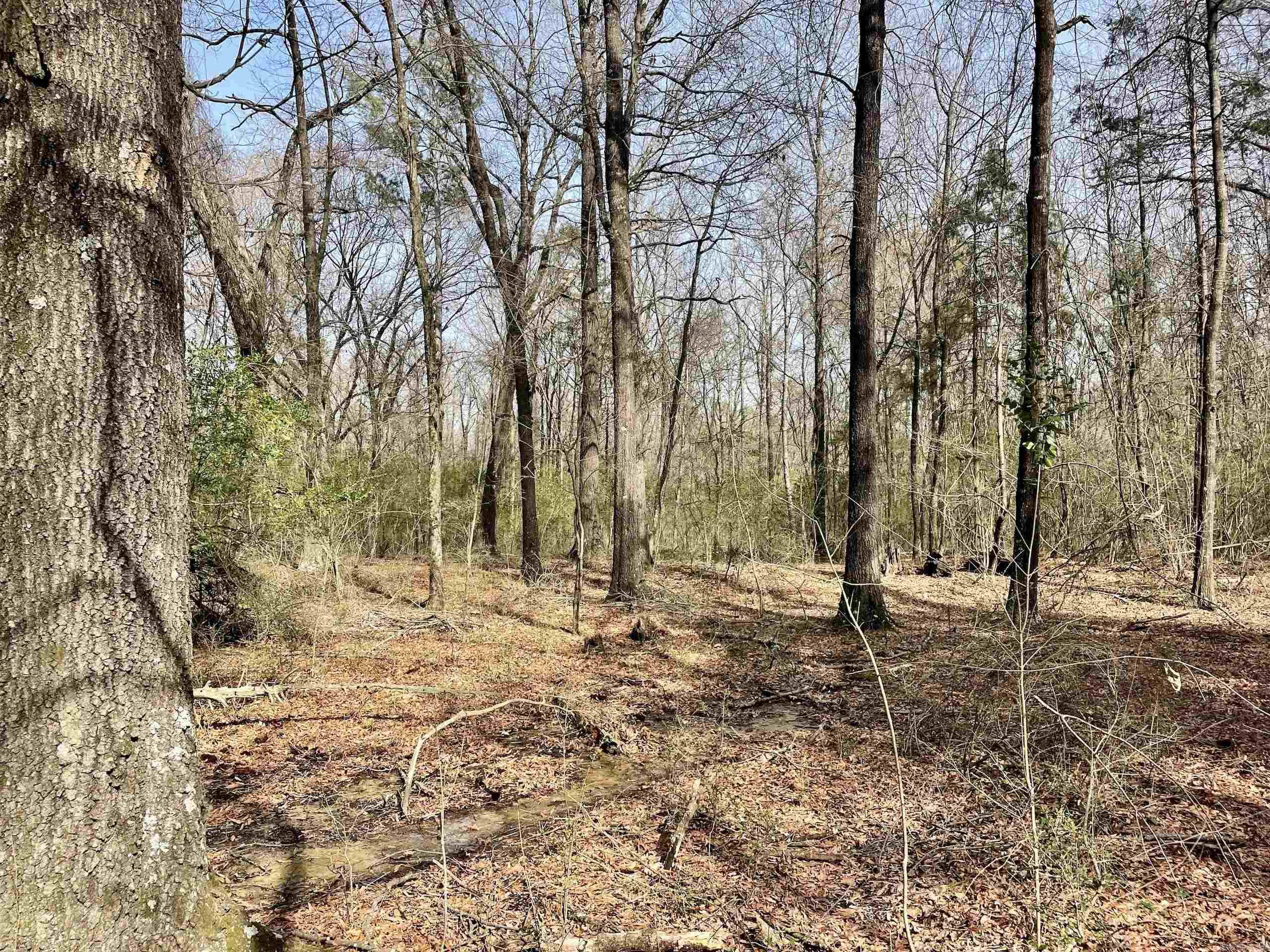 201  Oak Hill  Adona, AR
