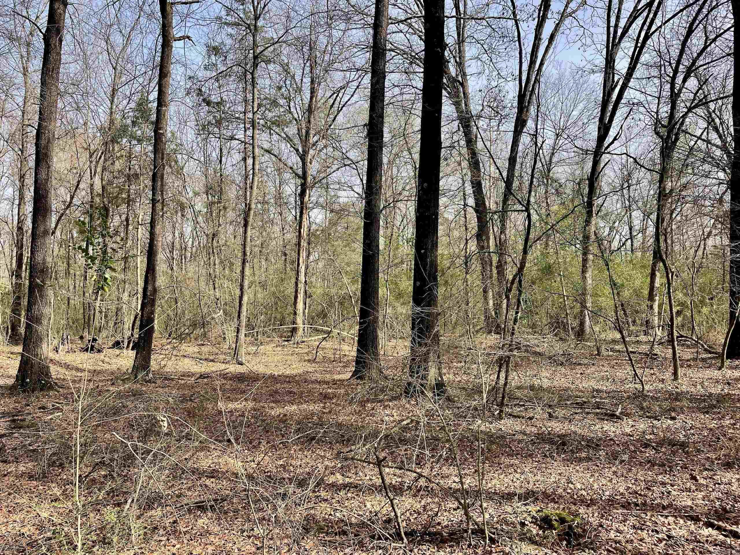 201  Oak Hill  Adona, AR