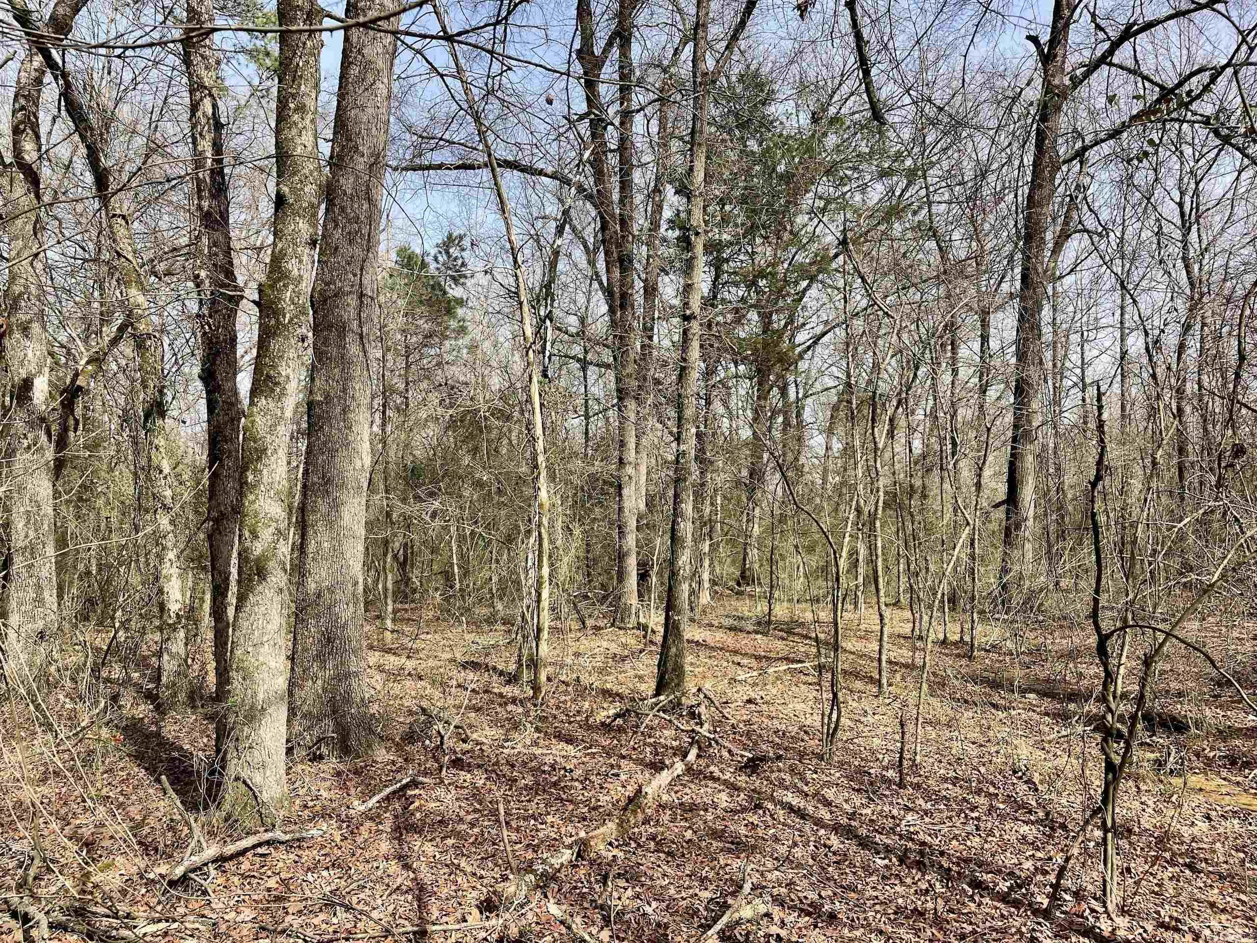 201  Oak Hill  Adona, AR