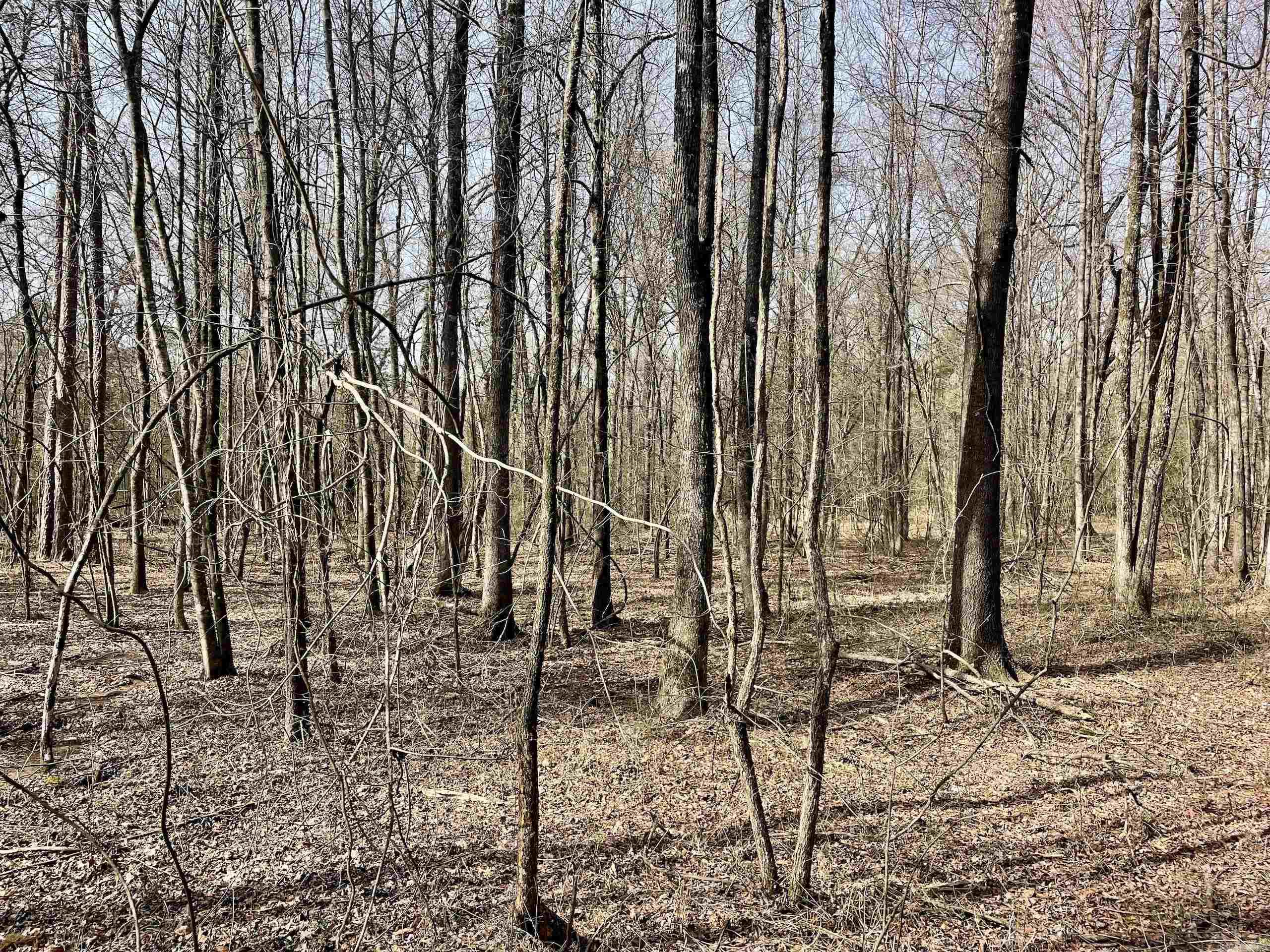 201  Oak Hill  Adona, AR