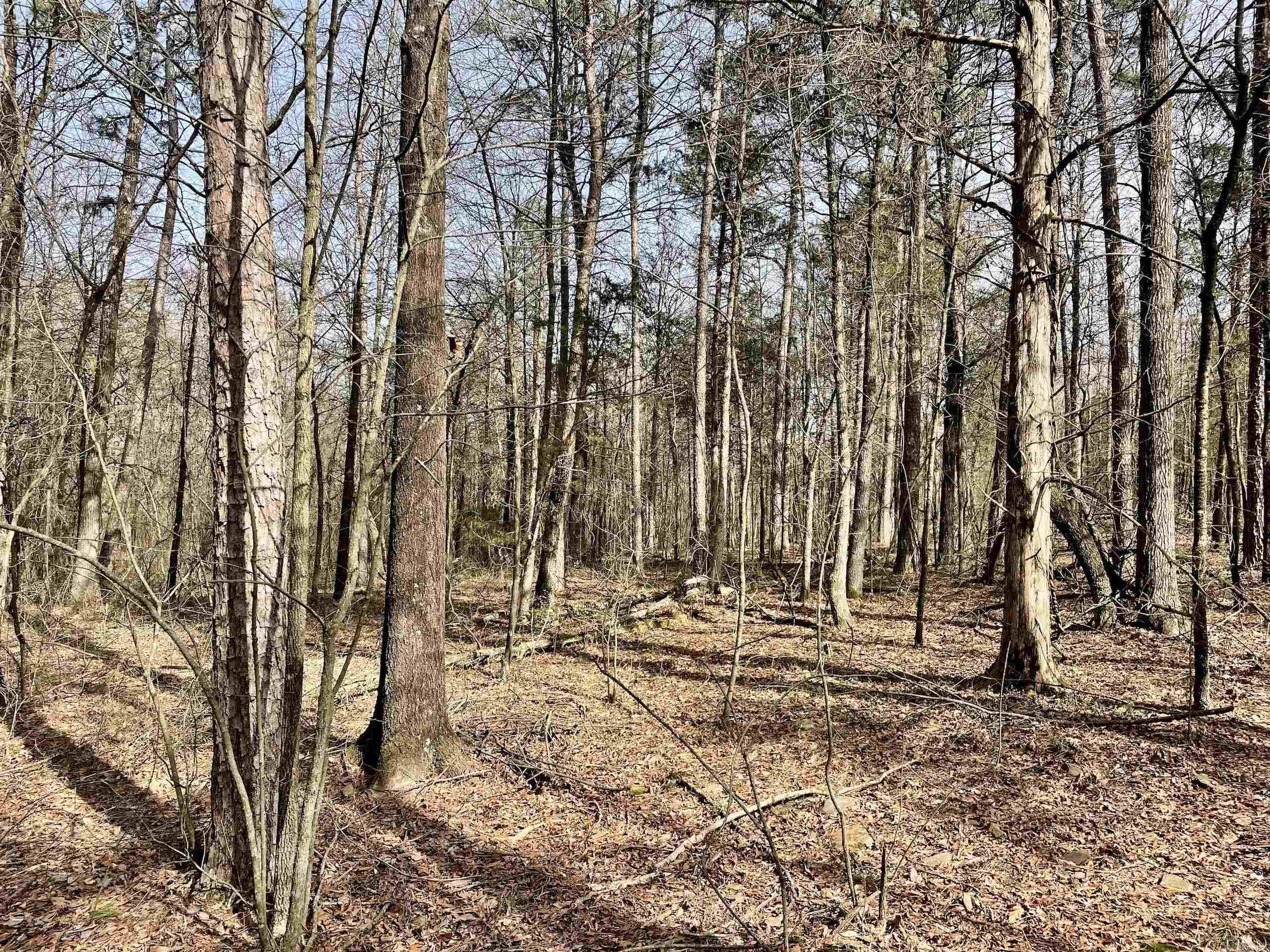 201  Oak Hill  Adona, AR