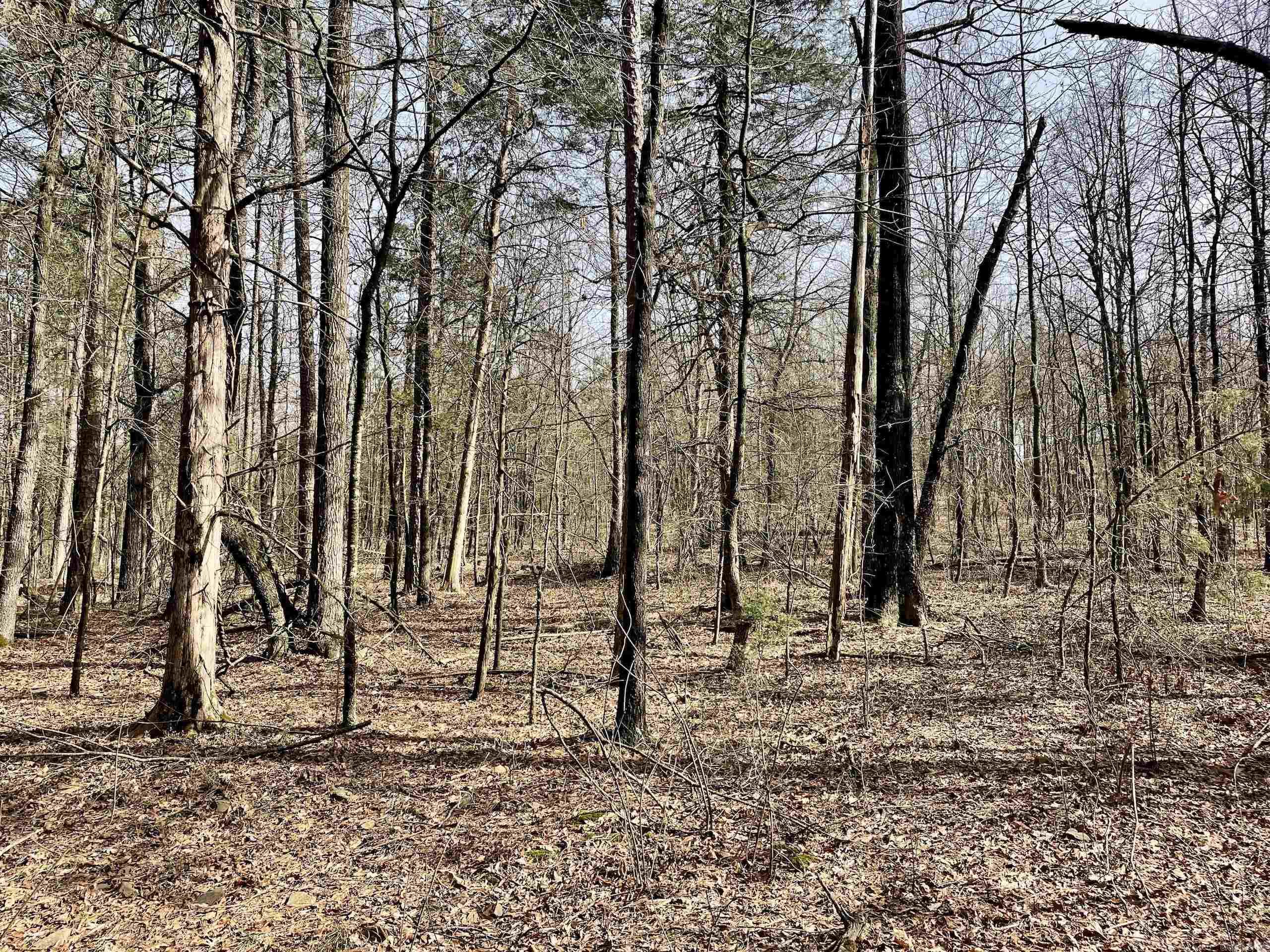 201  Oak Hill  Adona, AR