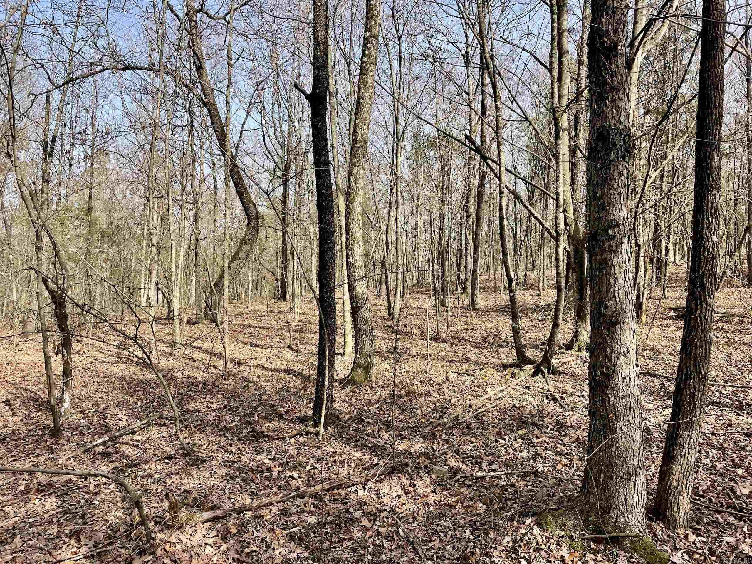201  Oak Hill  Adona, AR