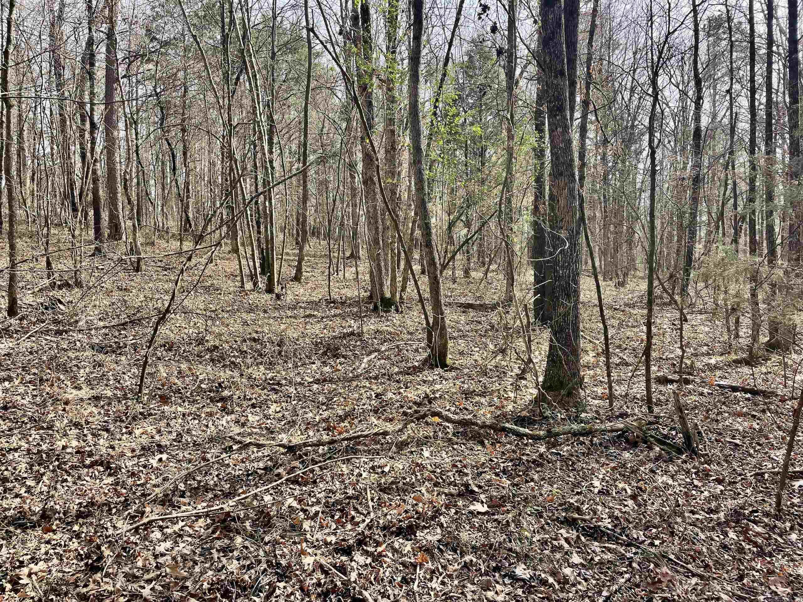 201  Oak Hill  Adona, AR