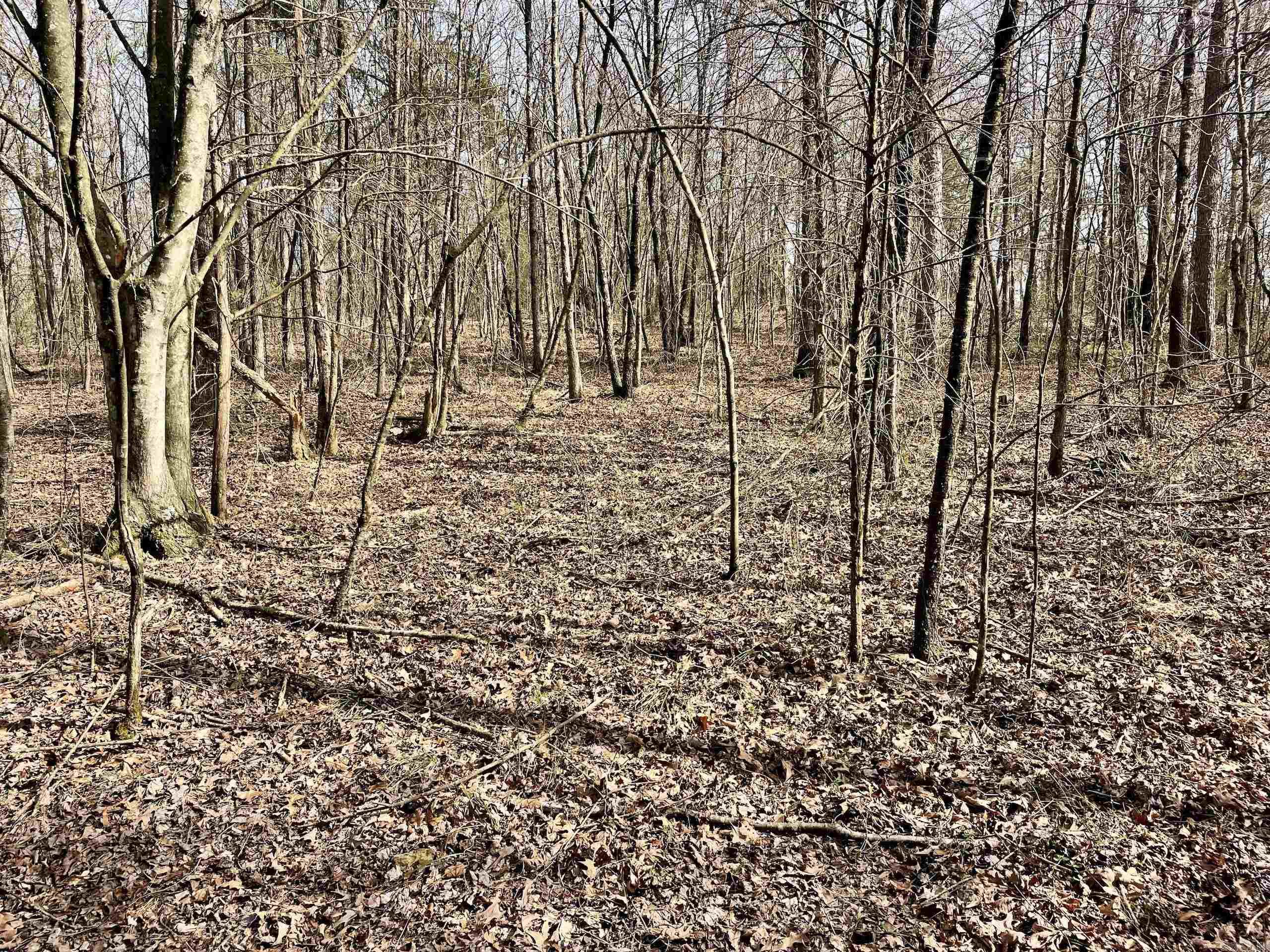 201  Oak Hill  Adona, AR