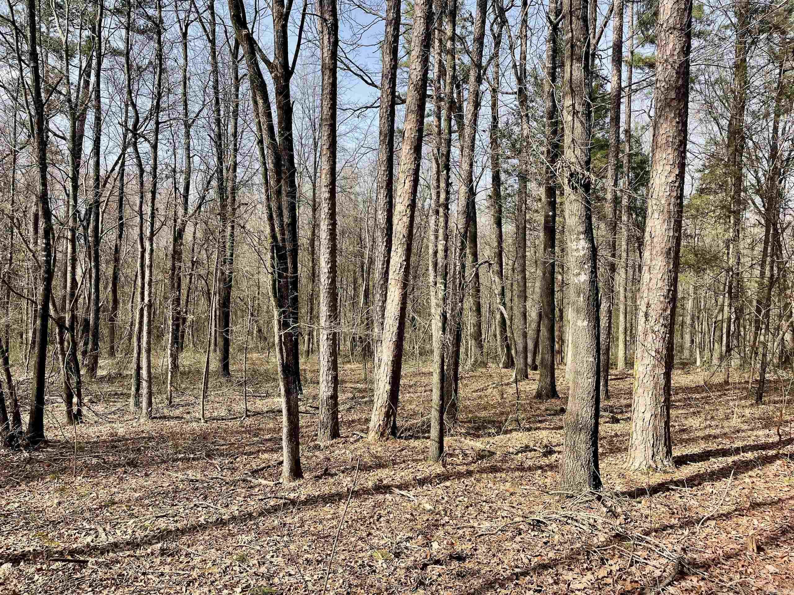 201  Oak Hill  Adona, AR
