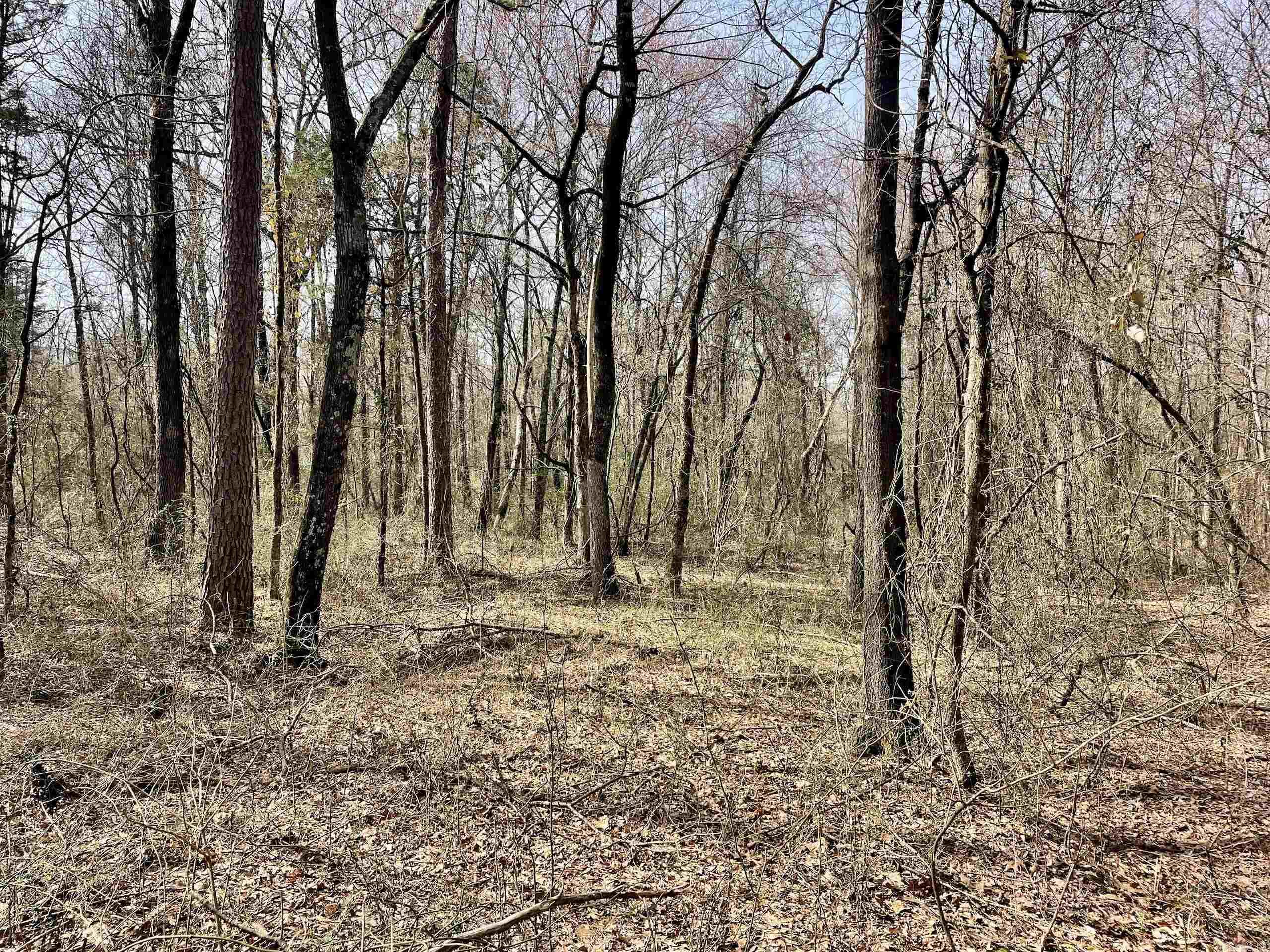 201  Oak Hill  Adona, AR
