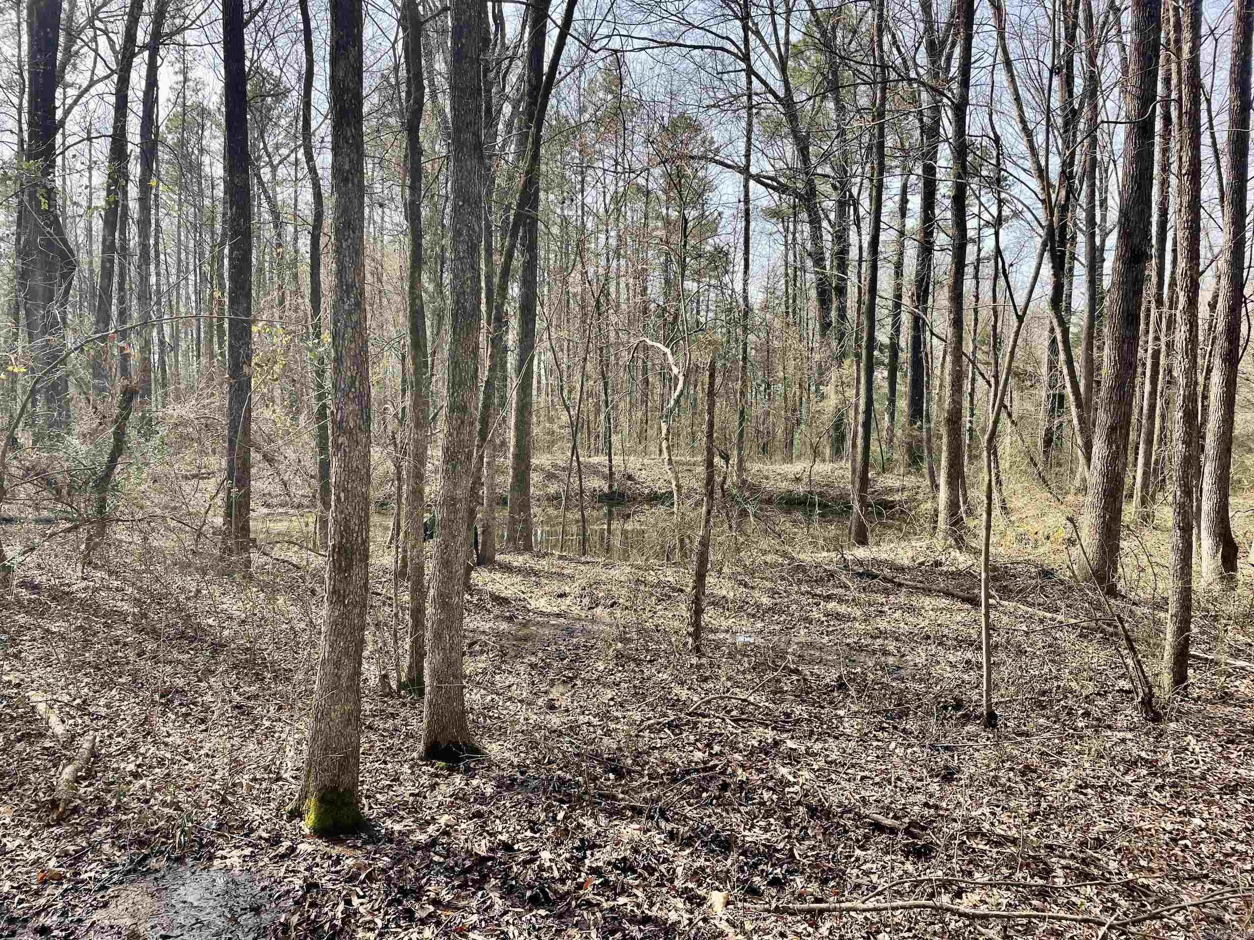 201  Oak Hill  Adona, AR