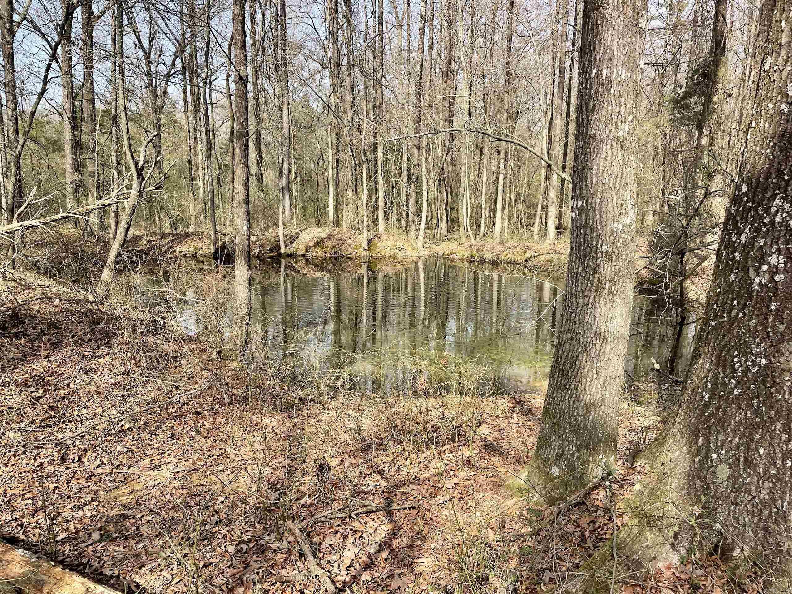 201  Oak Hill  Adona, AR