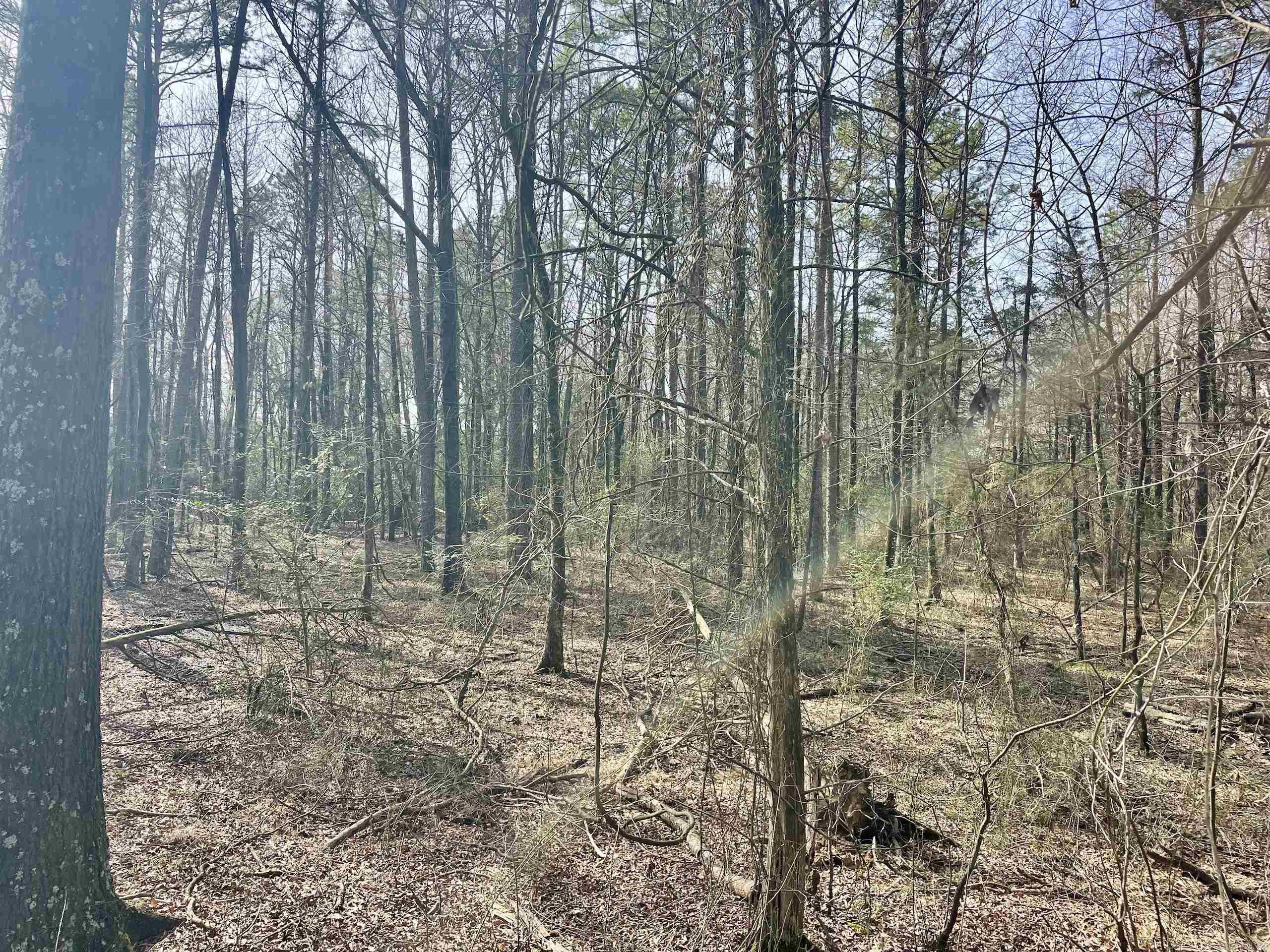 201  Oak Hill  Adona, AR