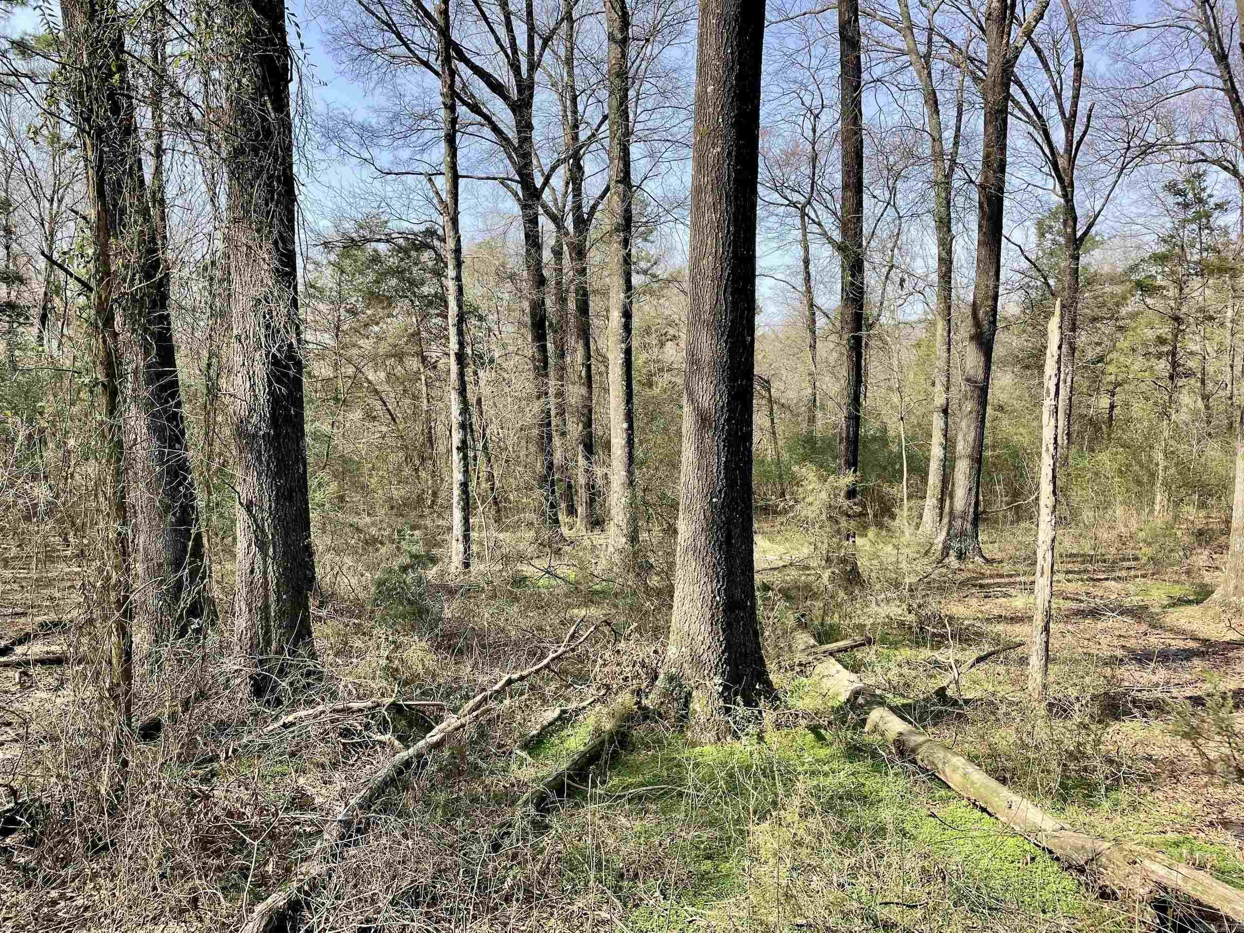 201  Oak Hill  Adona, AR