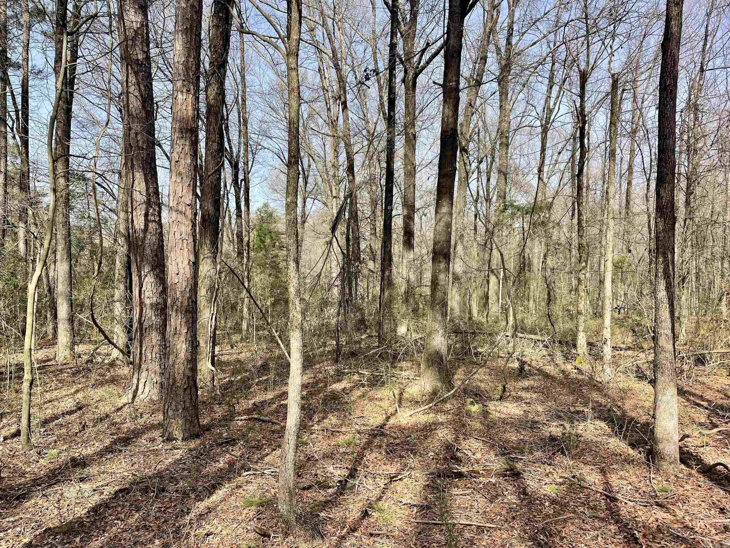 201  Oak Hill  Adona, AR