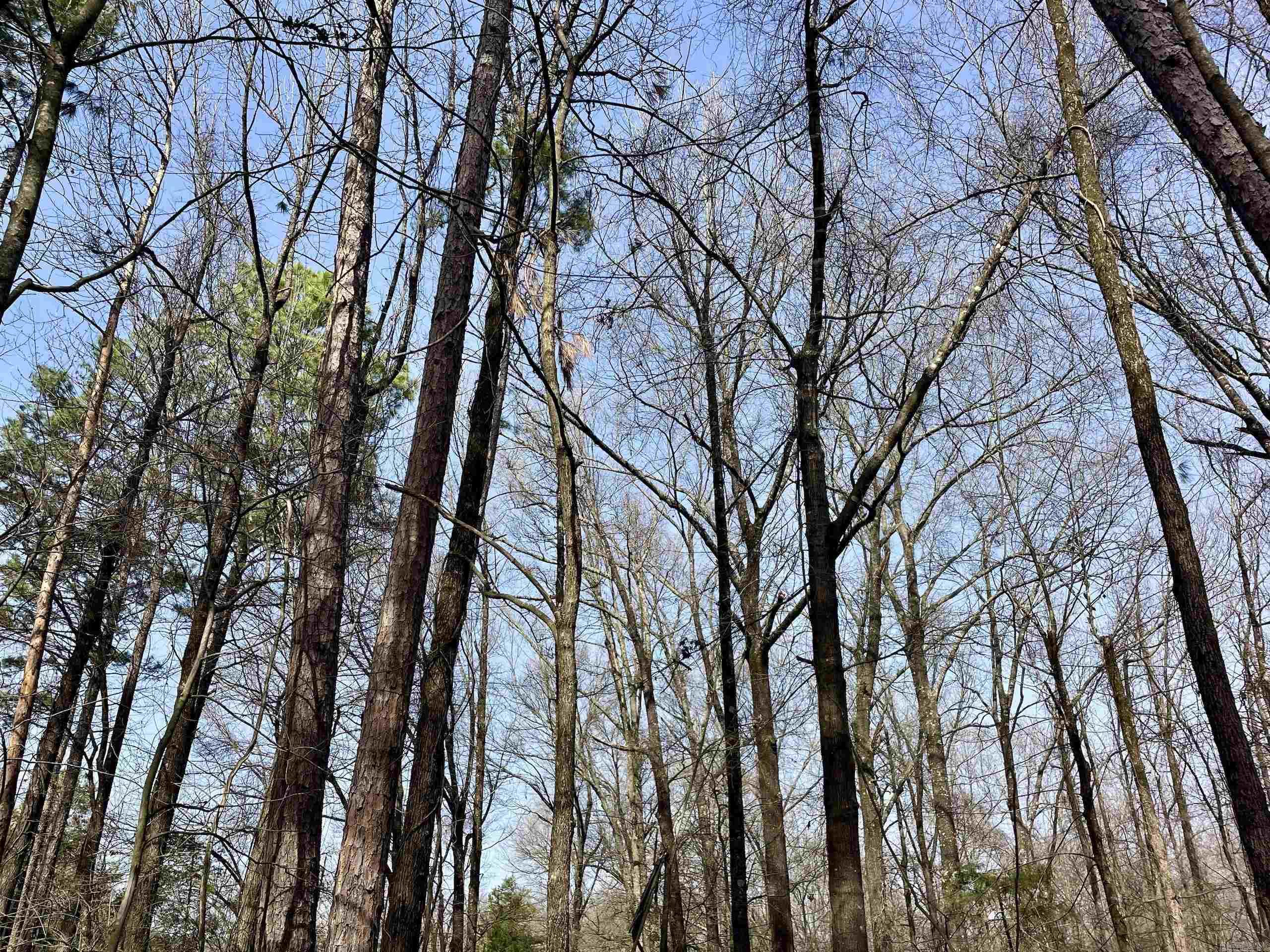 201  Oak Hill  Adona, AR