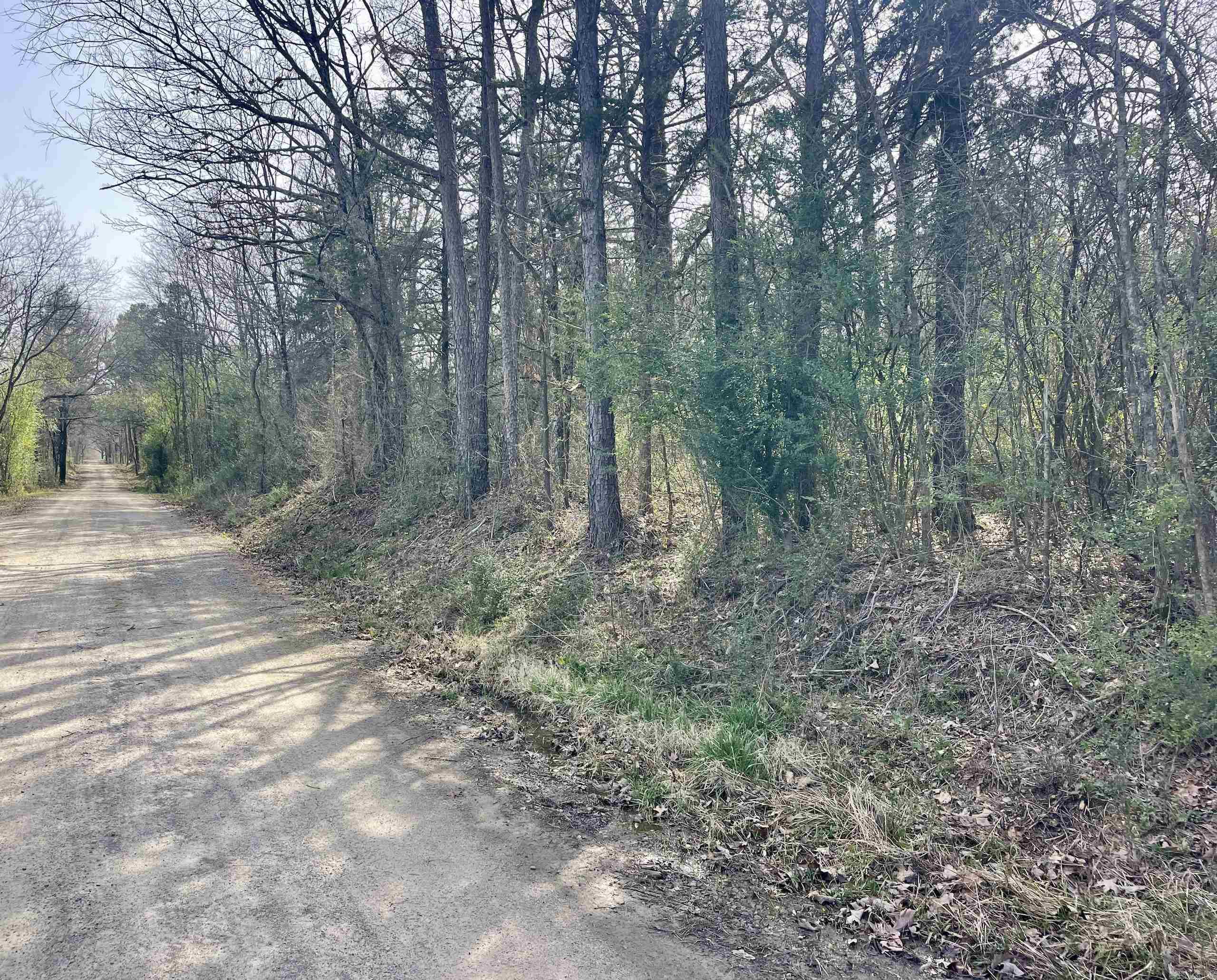 201  Oak Hill  Adona, AR