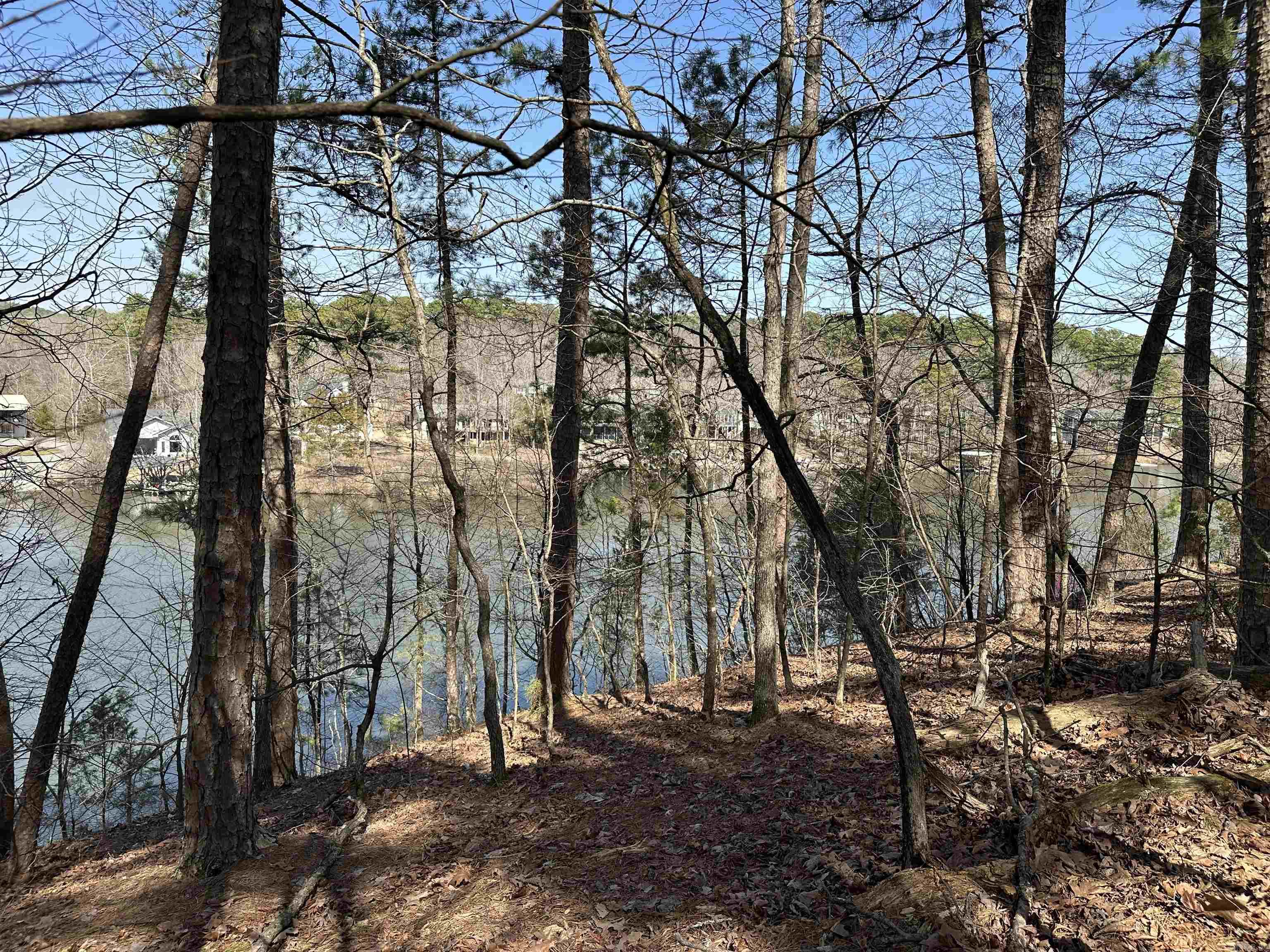 3  Aracena Ln  Hot Springs Village, AR