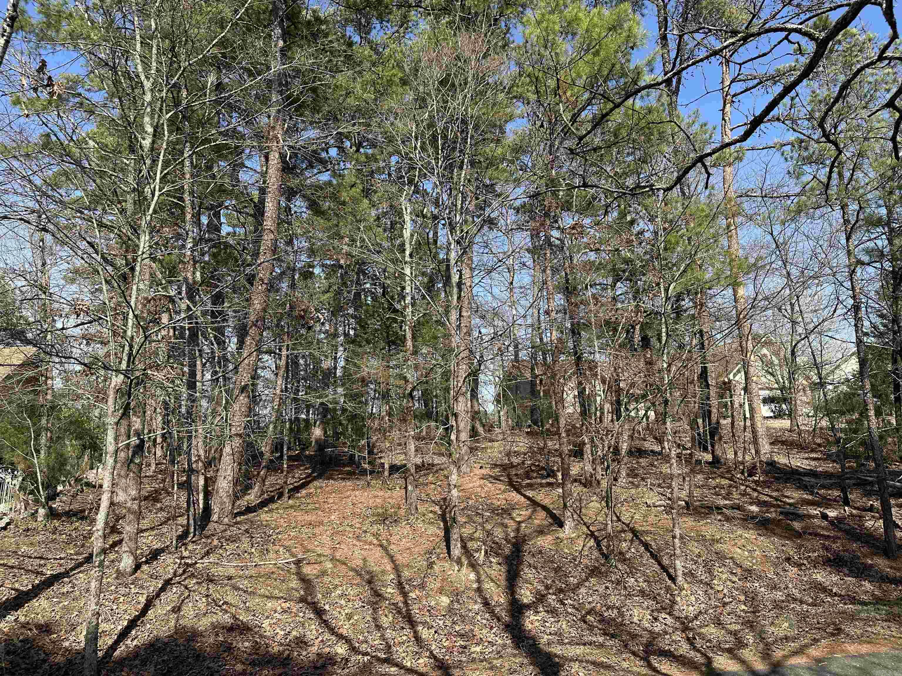 3  Aracena Ln  Hot Springs Village, AR