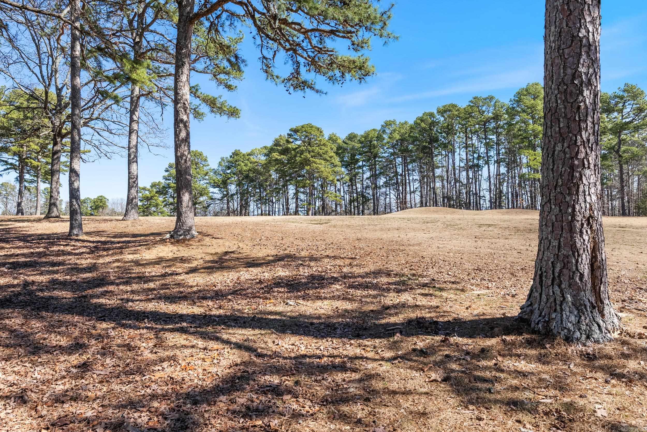 315  Snead  Fairfield Bay, AR