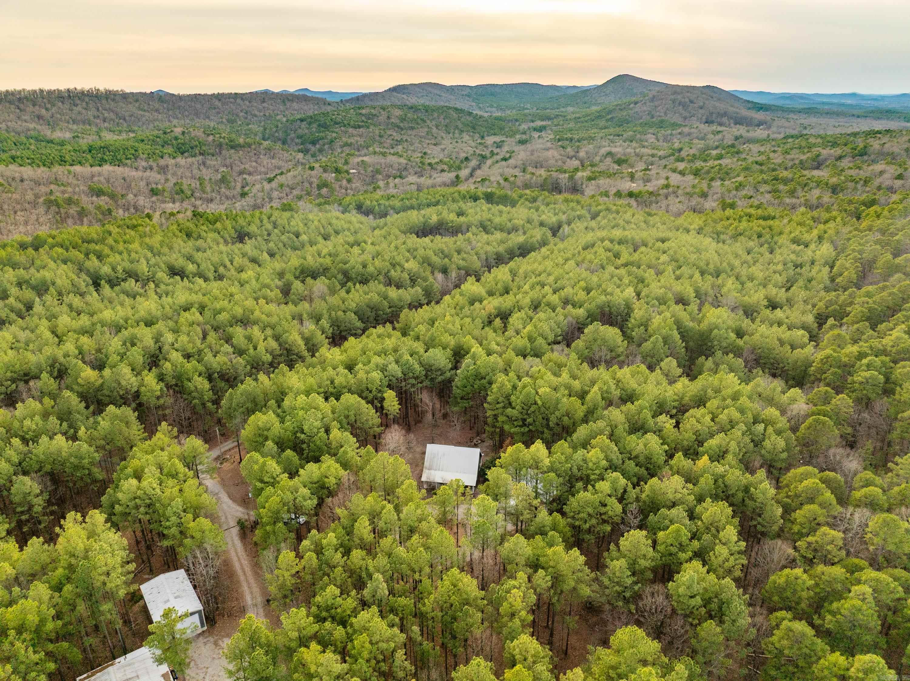 89  Woodland Springs  Mount Ida, AR
