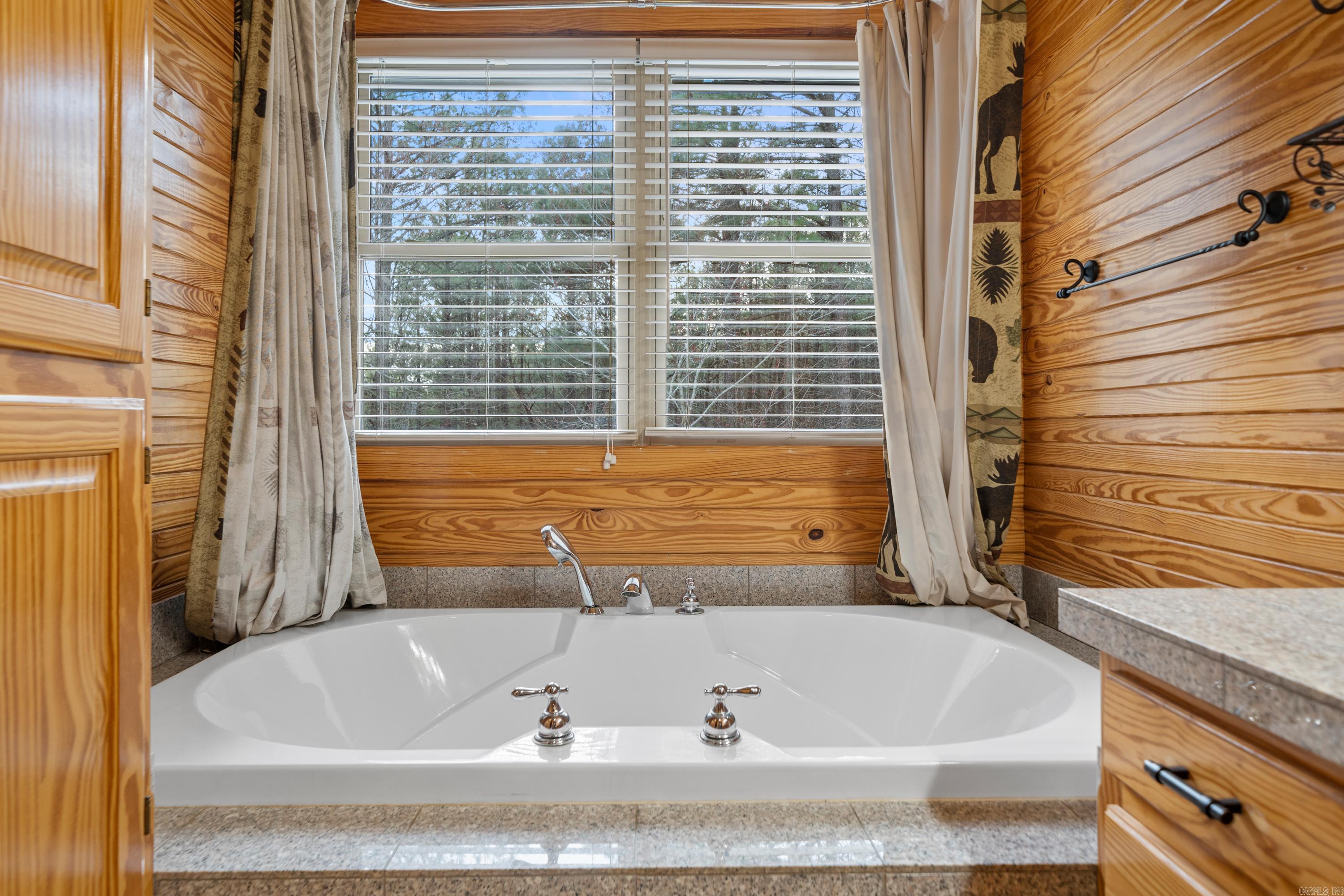 89  Woodland Springs  Mount Ida, AR